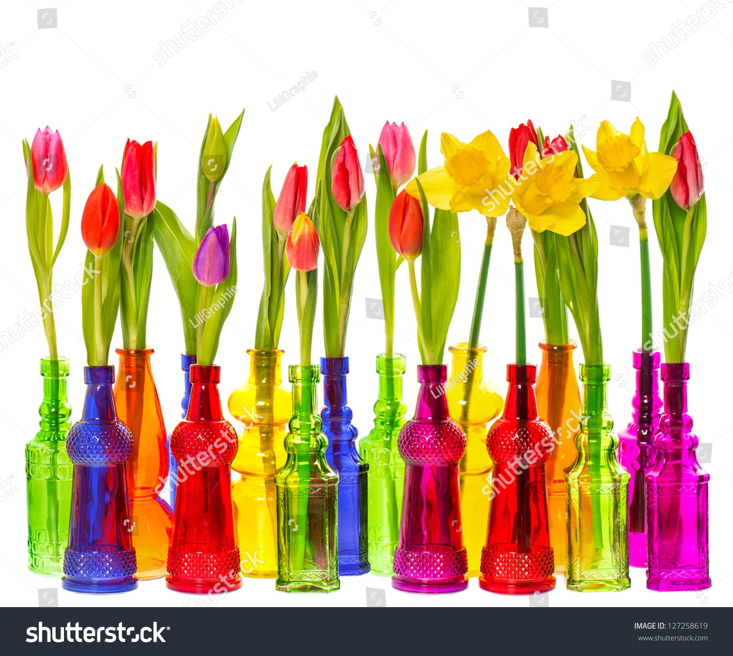 Many Tulip Narcissus Flowers Colorful Glass Stock Photo 127258619 ...