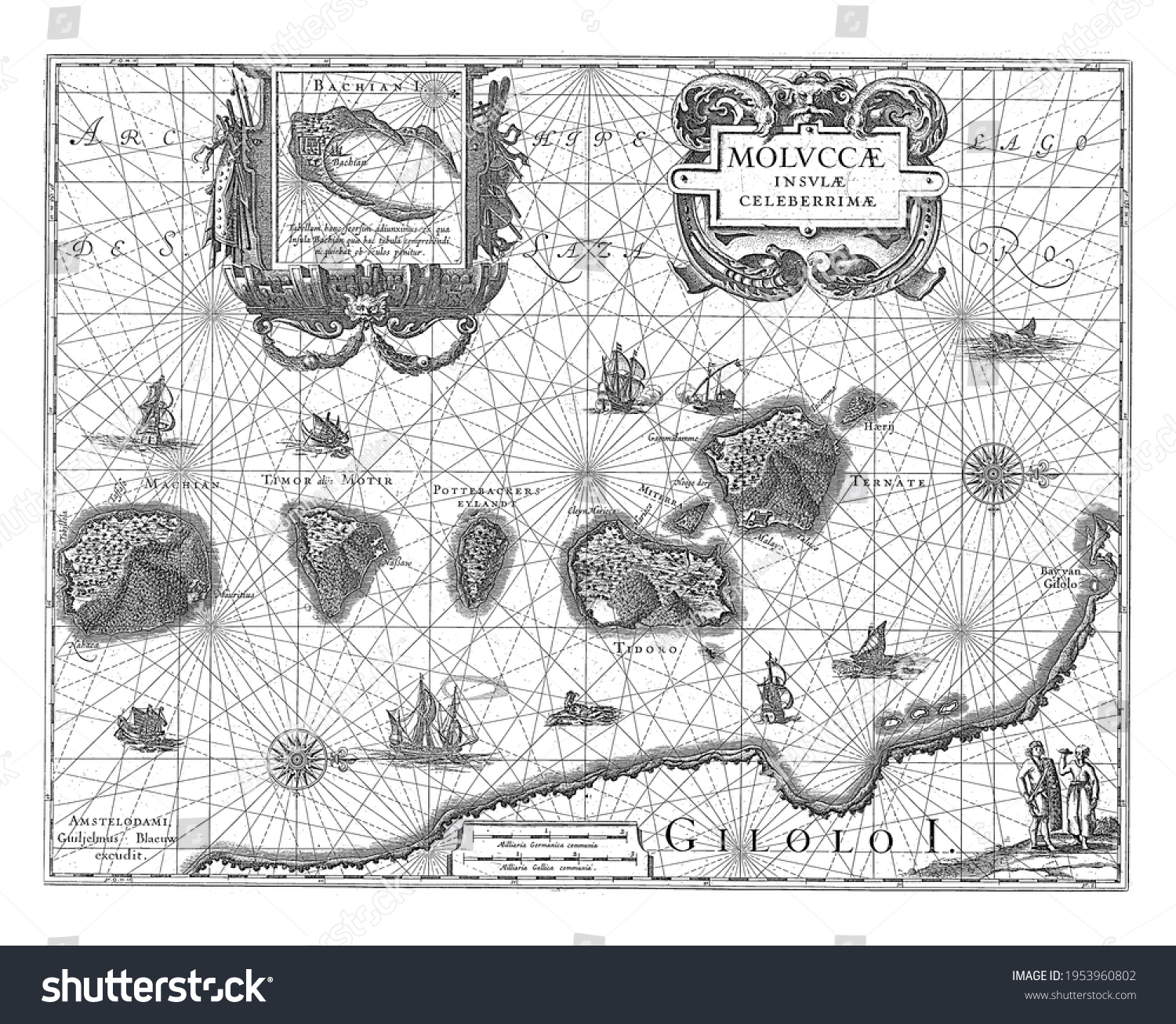 Moluccas Images Stock Photos Vectors Shutterstock Moluccas Images Stock Photos Vectors Shutterstock