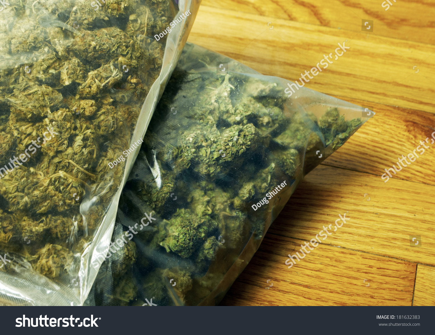 Marijuana Strains Bags Weed Denver Colorado Stock Photo 181632383 ...