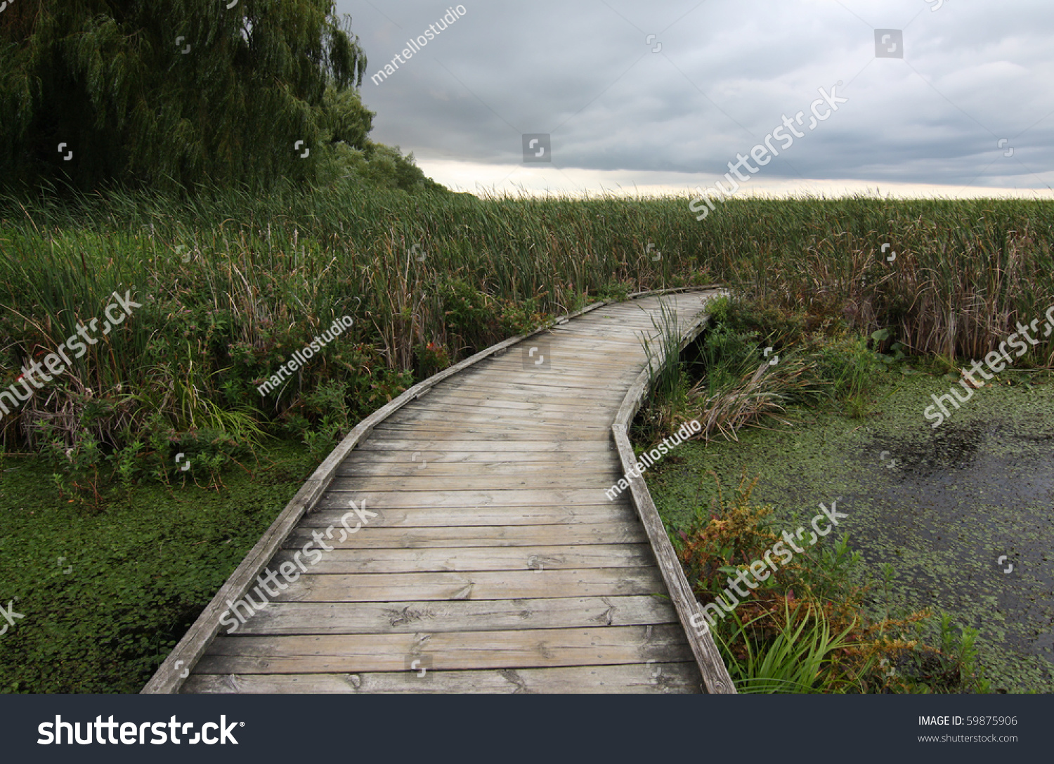 Marshland Grass Boardwalk Storm Clouds Stock Photo 59875906 Shutterstock