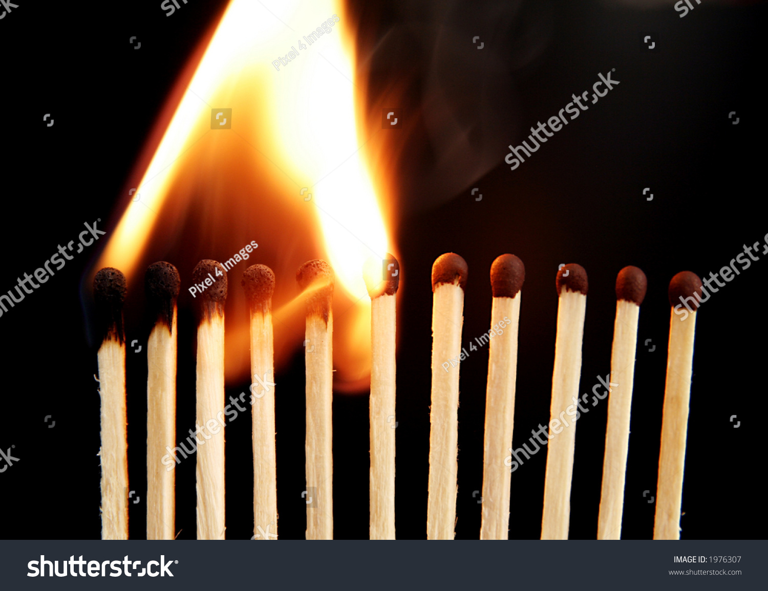 Matches In Fire. Fire Chain Reaction Stock Photo 1976307 : Shutterstock