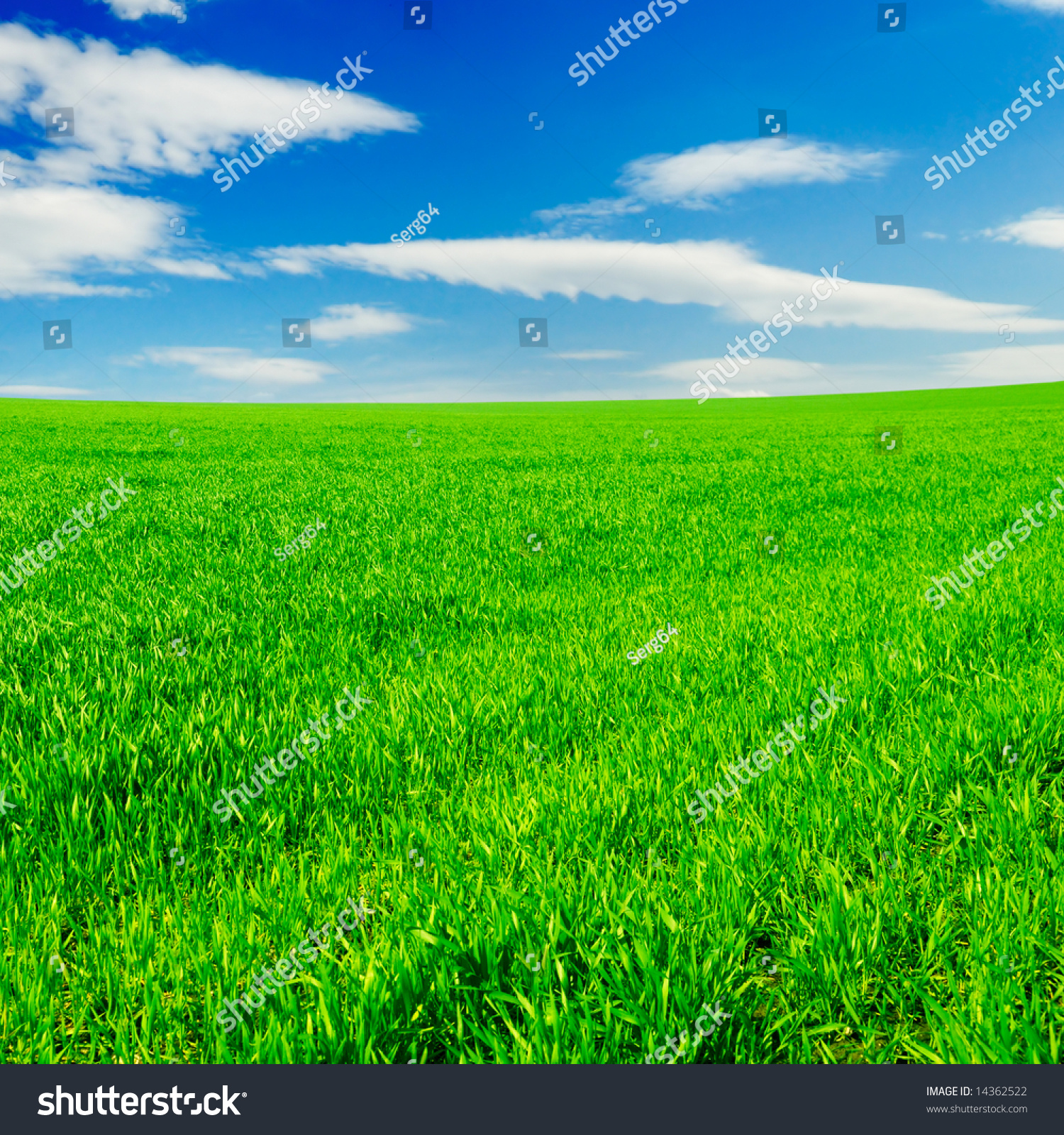 Meadow Beautiful Blue Sky Stock Photo 14362522 - Shutterstock