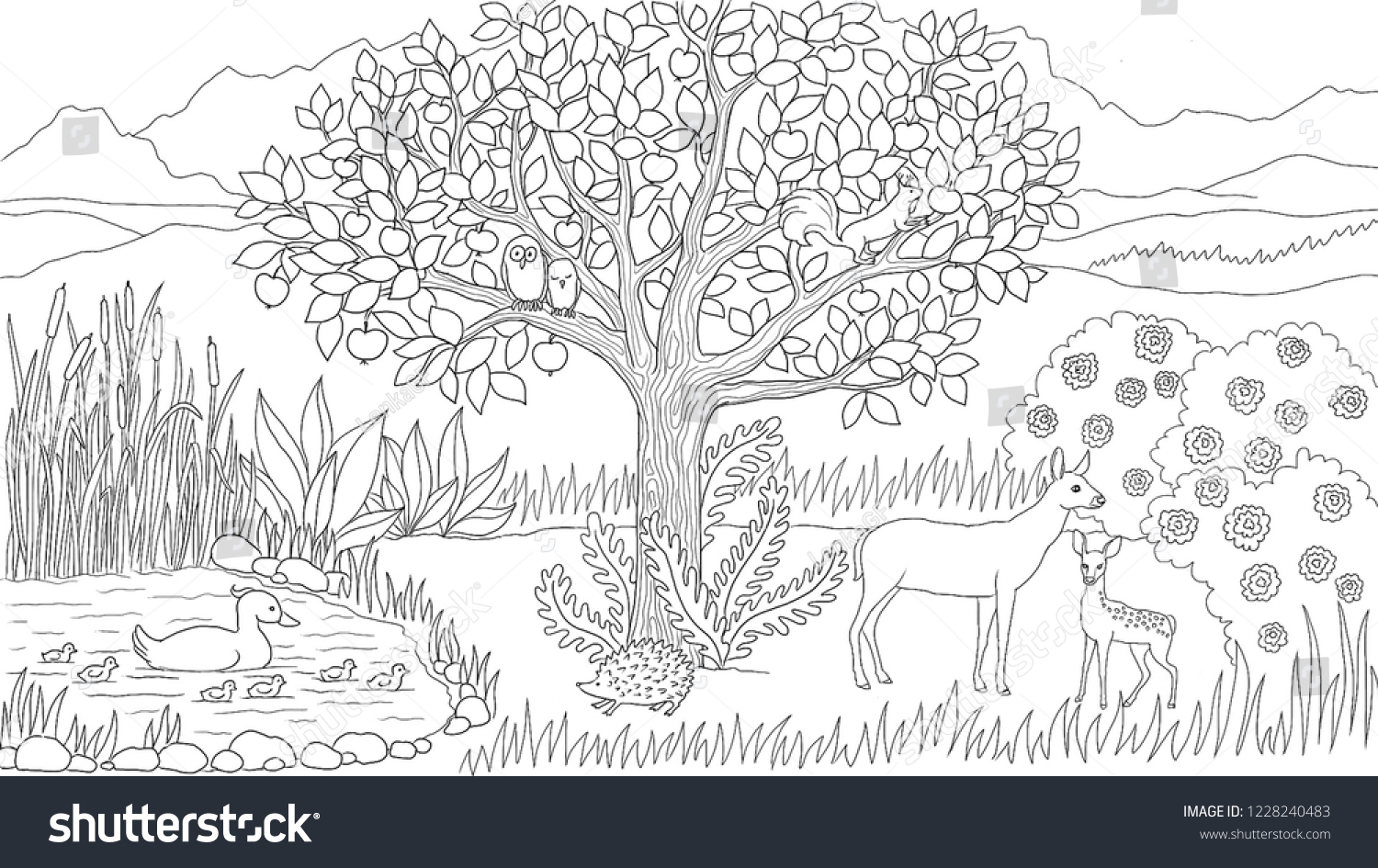 Meadow Nature Animals Illustration Coloring Page Stock ...