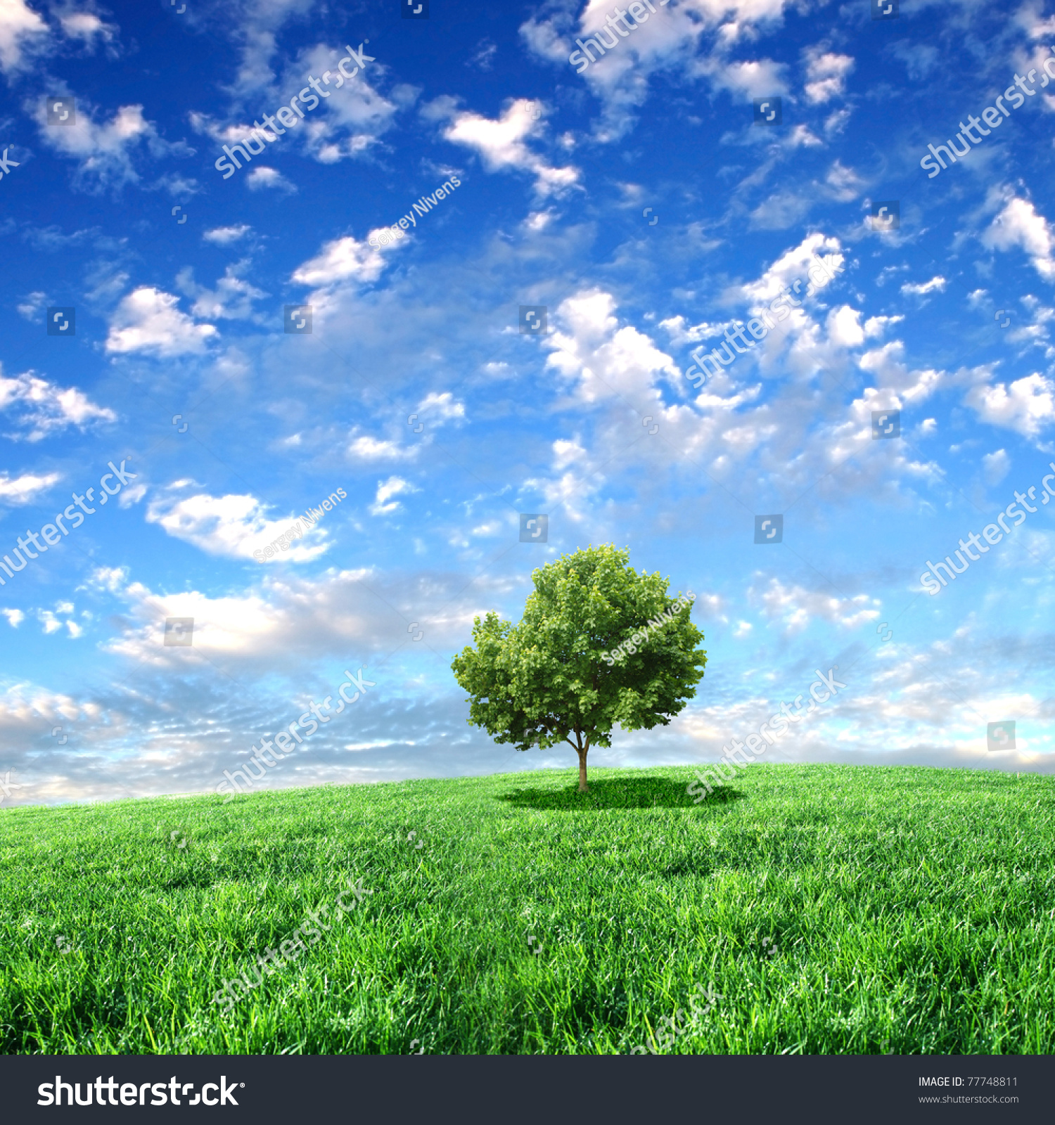 Meadows Landscape With Clouds On The Sky Stock Photo 77748811 ...