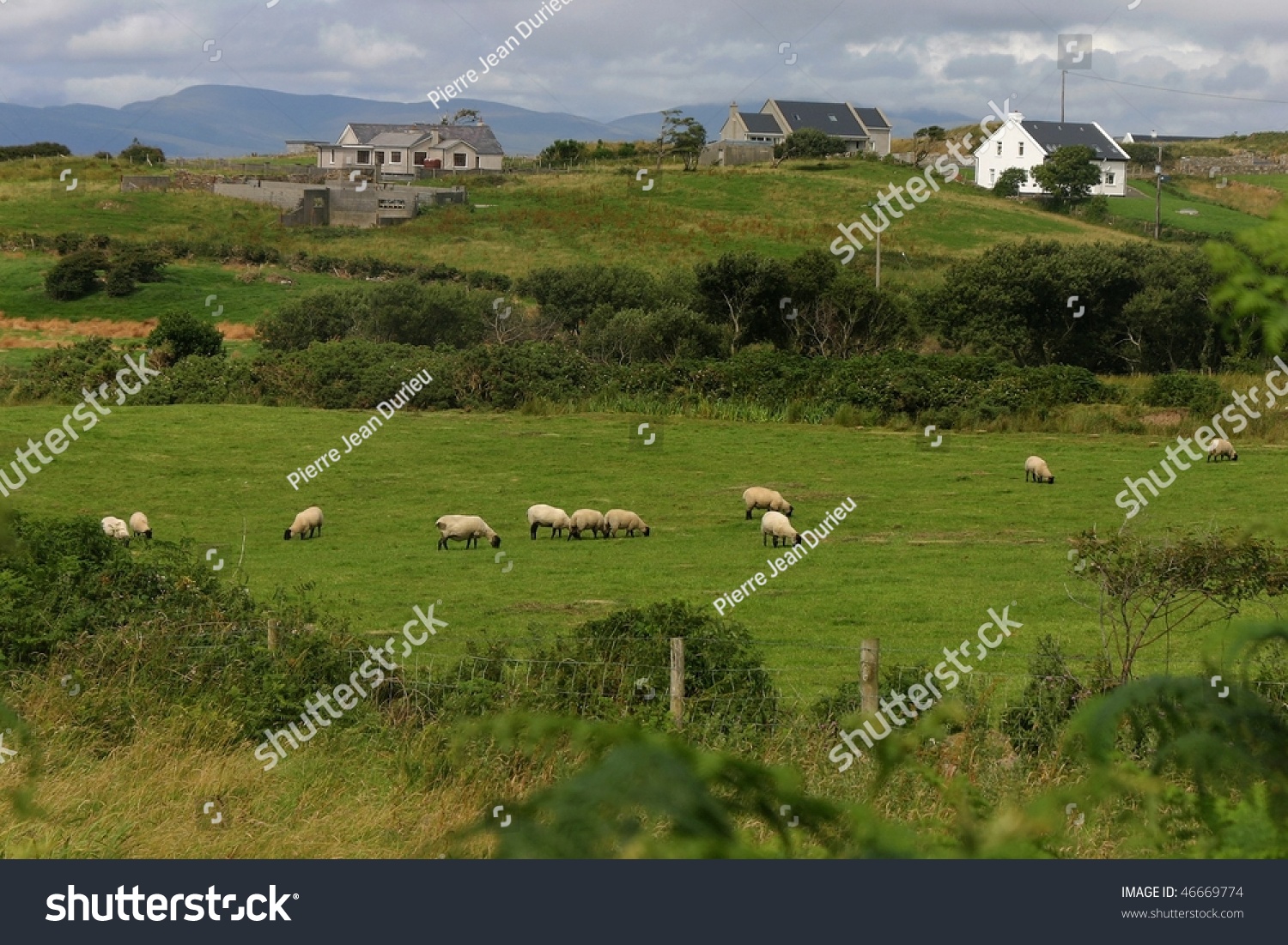 Meadows Of Ireland Stock Photo 46669774 : Shutterstock