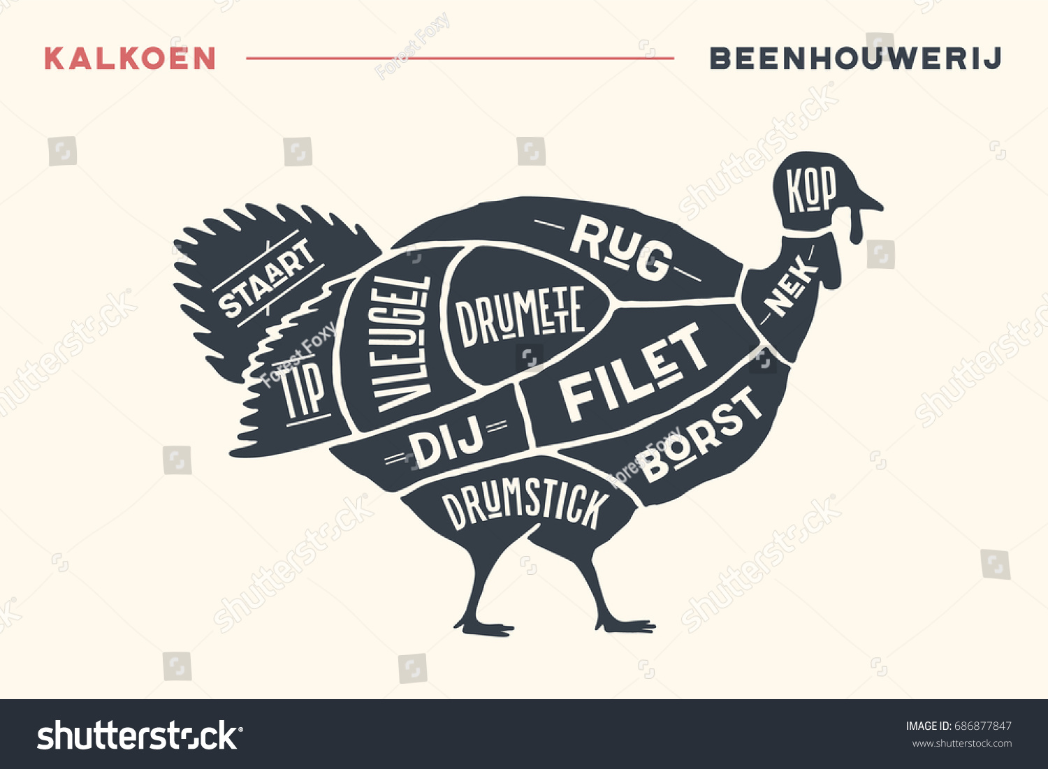 meat-cuts-poster-butcher-diagram-scheme-686877847