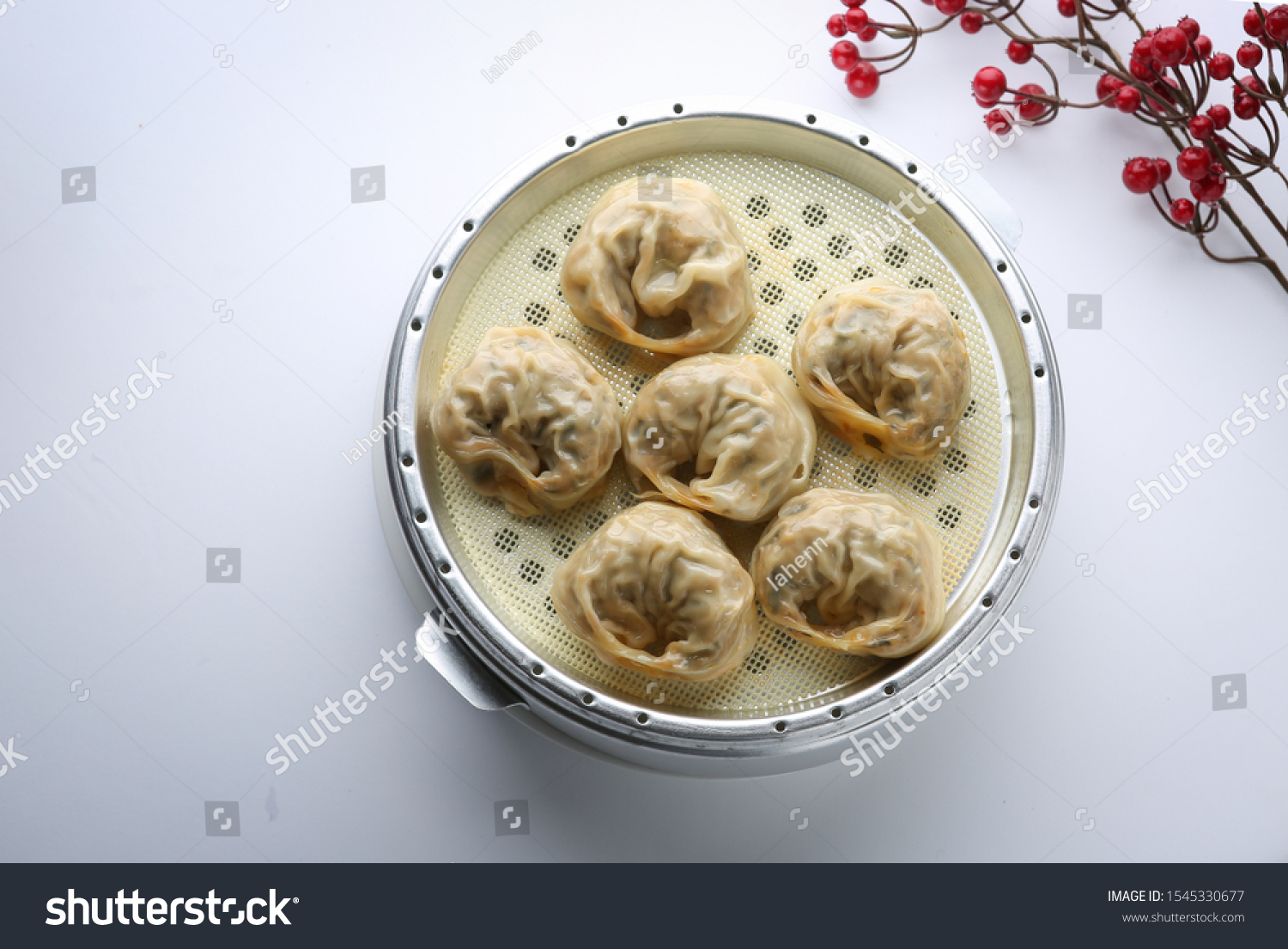 Meat Dumplings Gogi Mandu Korean Dumpling Stock Photo Edit Now 1545330677