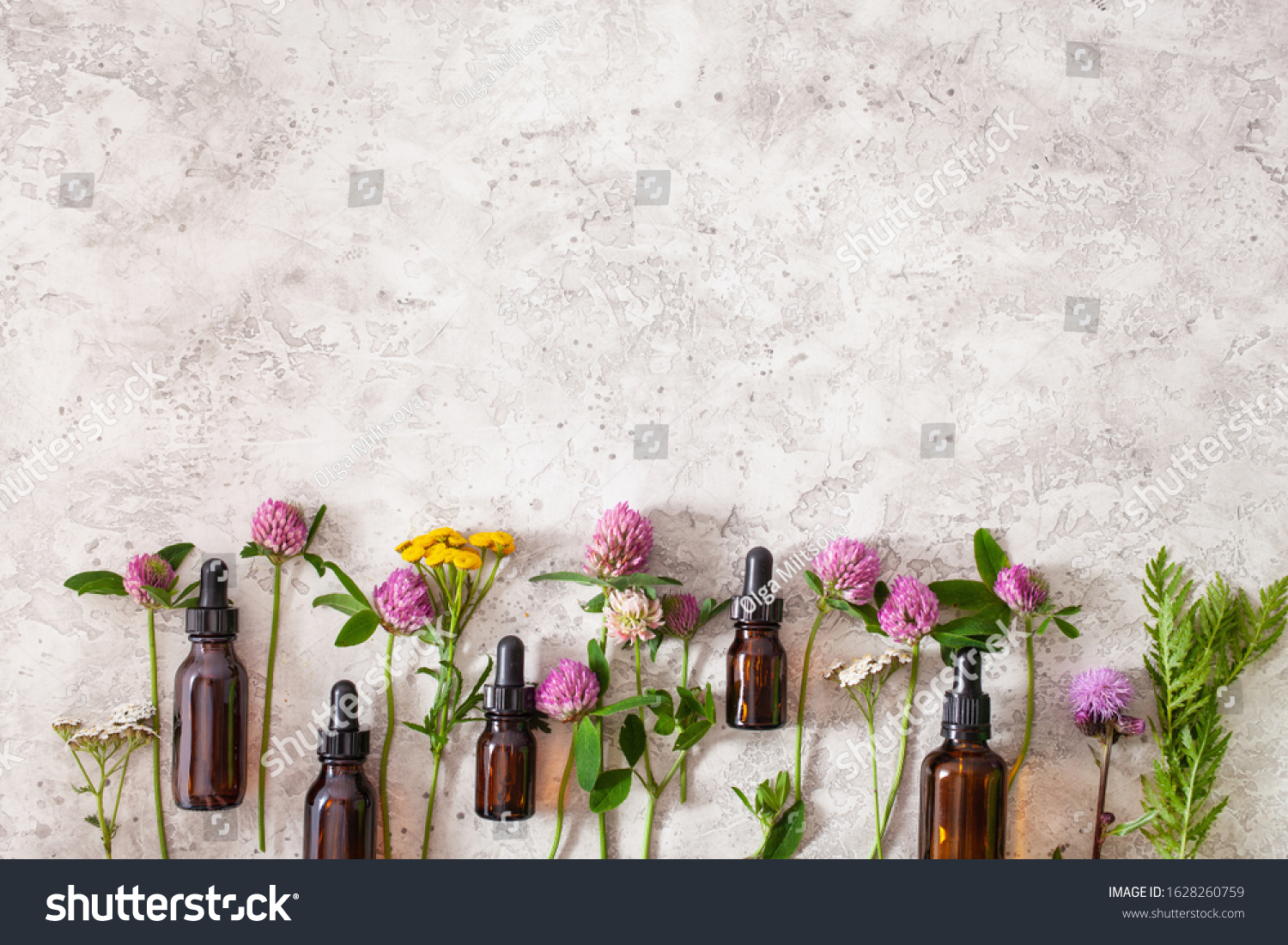  White Classic  Template Design Featuring Medical Flowers Herbs Essential Oils