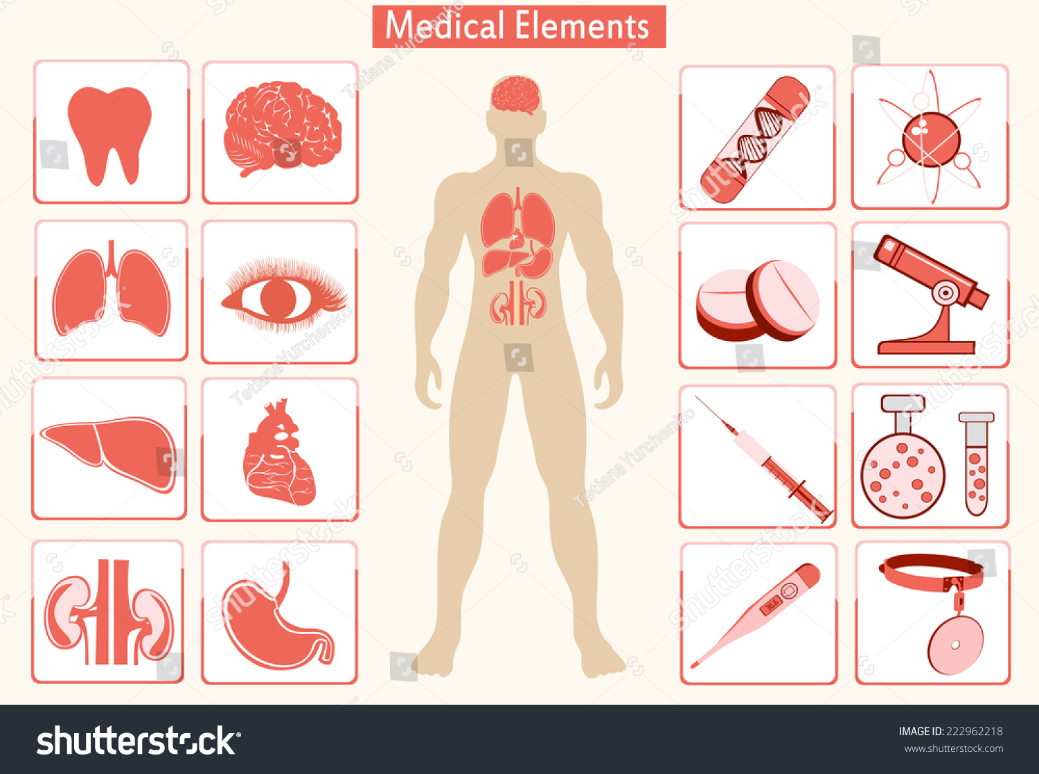 Medical Info Graphics. Human Body With Internal Organs Stock Photo