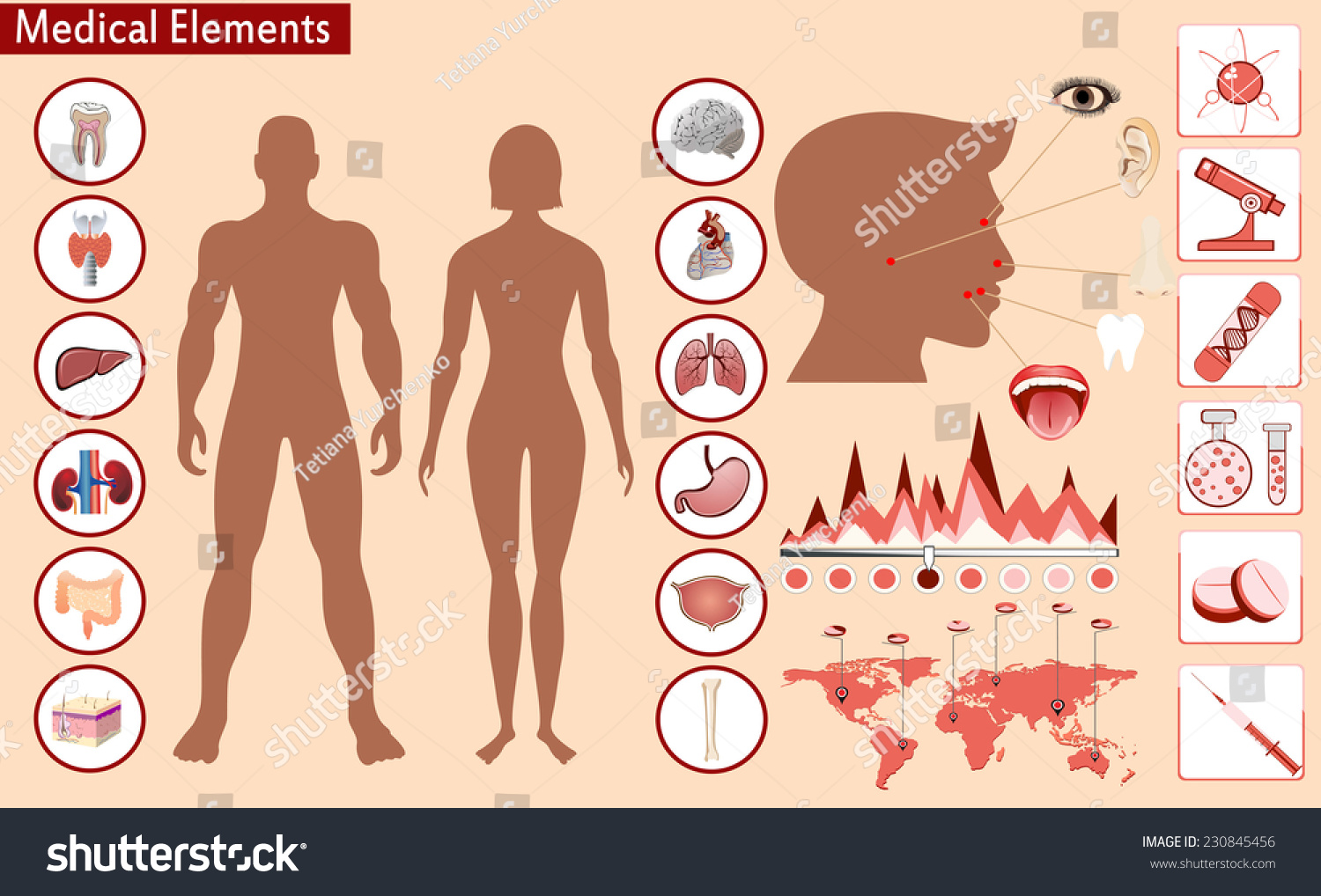 Medical Info Graphics. Human Body With Internal Organs Stock Photo