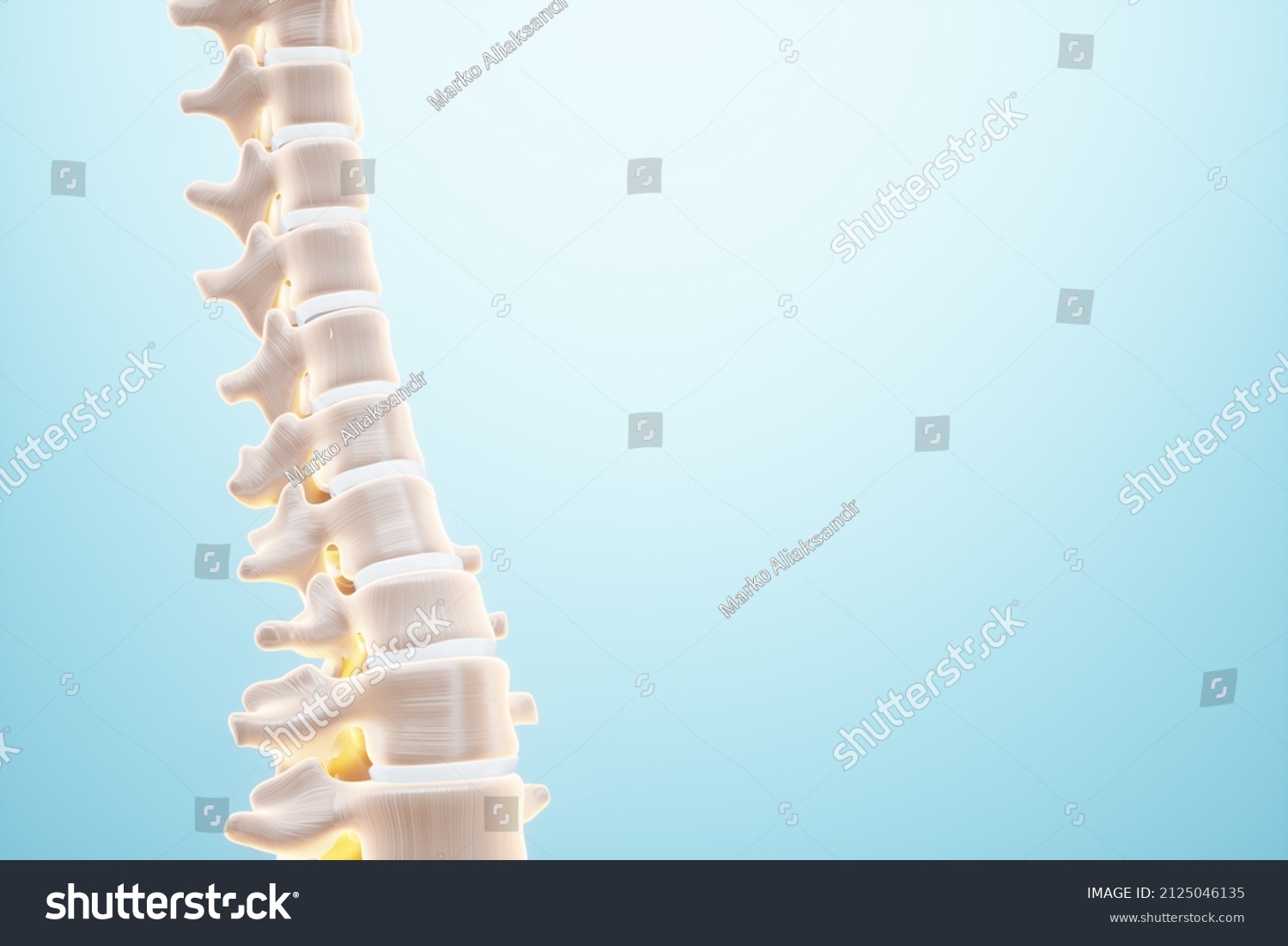 Medical Poster Anatomy Human Spine Image Stock Illustration 2125046135 ...