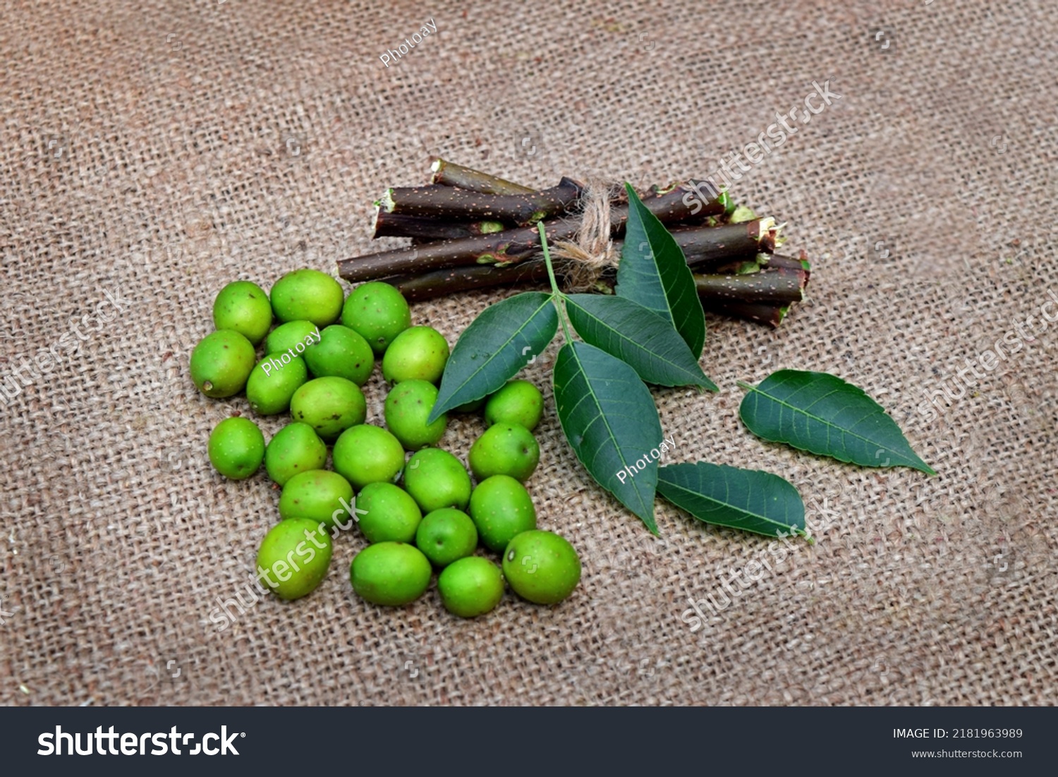 Medicinal Neem Leaves Fruits On Jute Stock Photo 2181963989 | Shutterstock