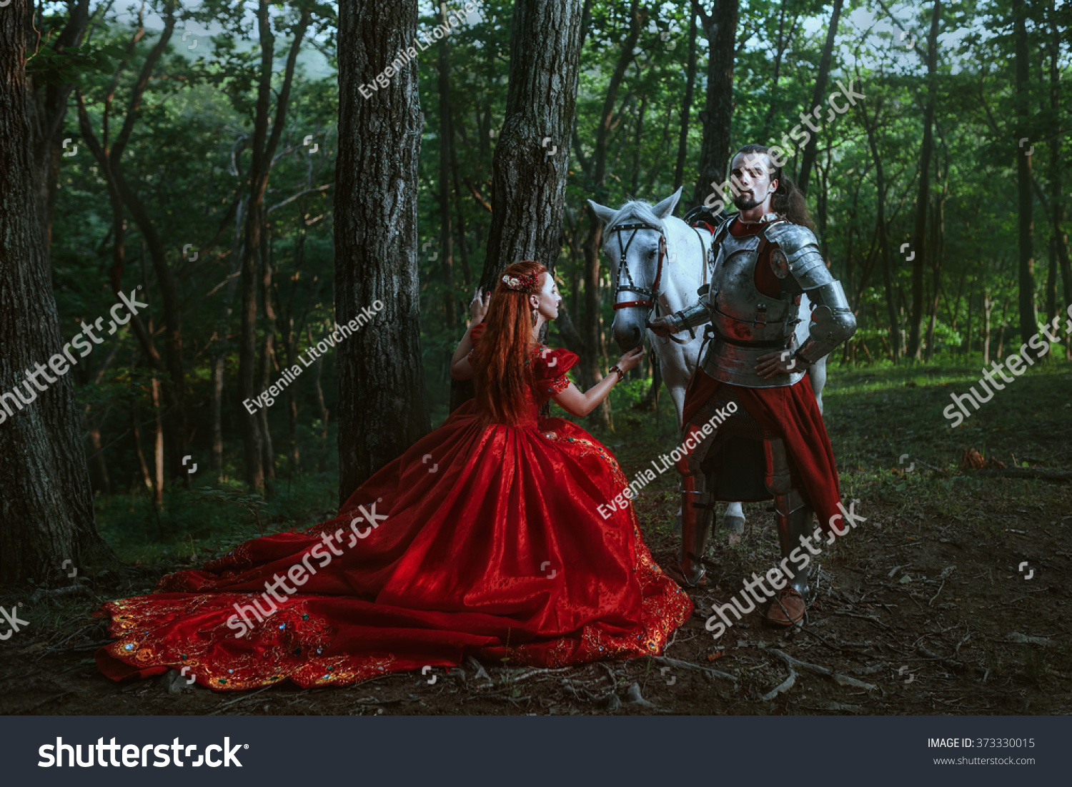 Medieval Knight Lady Stock Photo 373330015 - Shutterstock