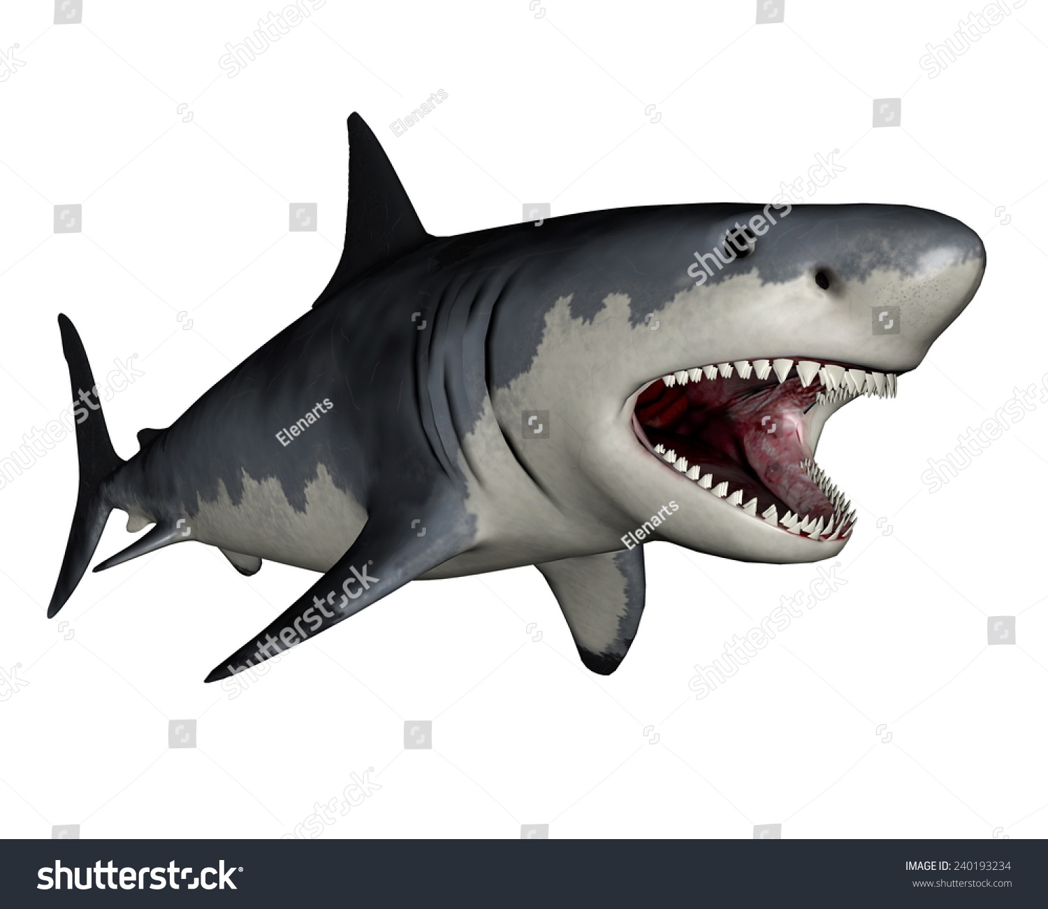 Megalodon Dinosaur In White Background- 3d Render Stock Photo 240193234 ...