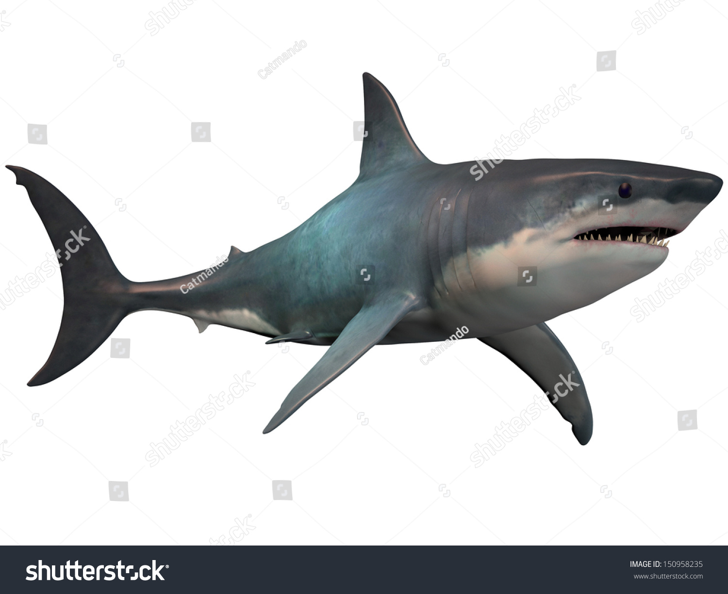 Megalodon On White Megalodon Extinct Megatoothed Stock Illustration ...