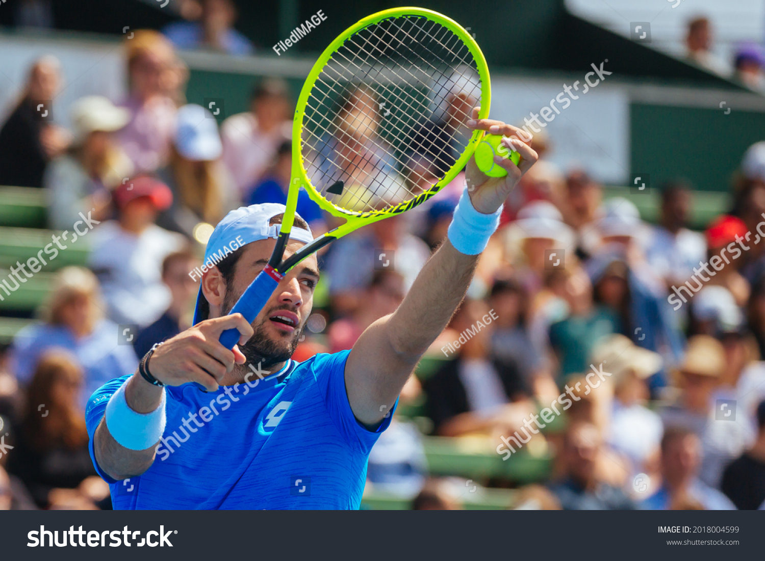 matteo berrettini vs rafael nadal