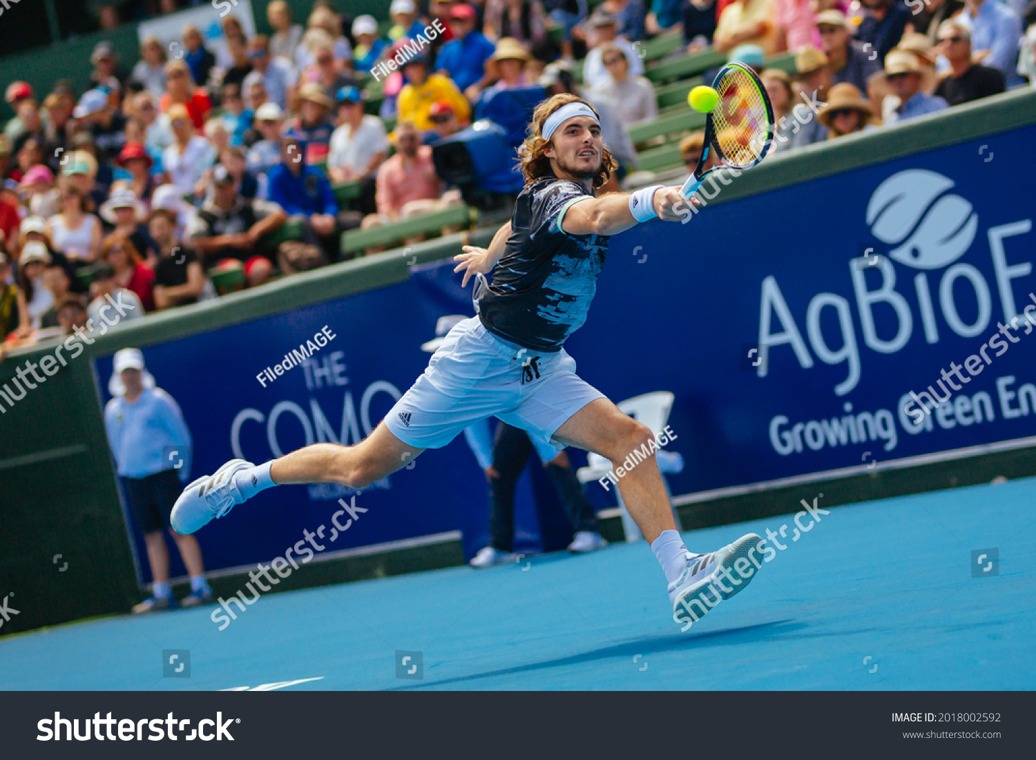 matteo berrettini vs rafael nadal