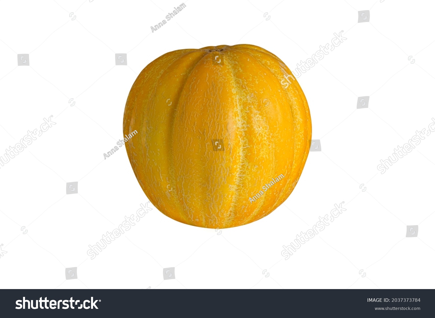 11,043 Big melons Images, Stock Photos & Vectors Shutterstock