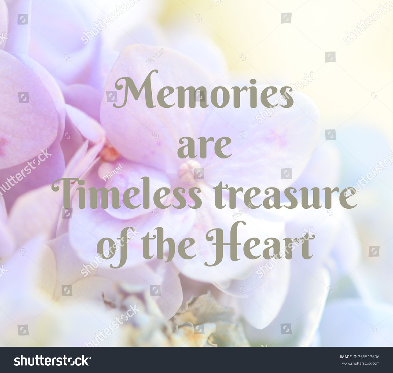 Memories Timeless Treasures Heart Life Quote Stock Photo 