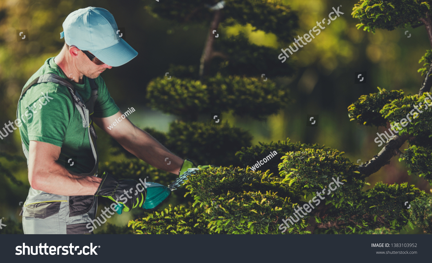 electric topiary trimmer