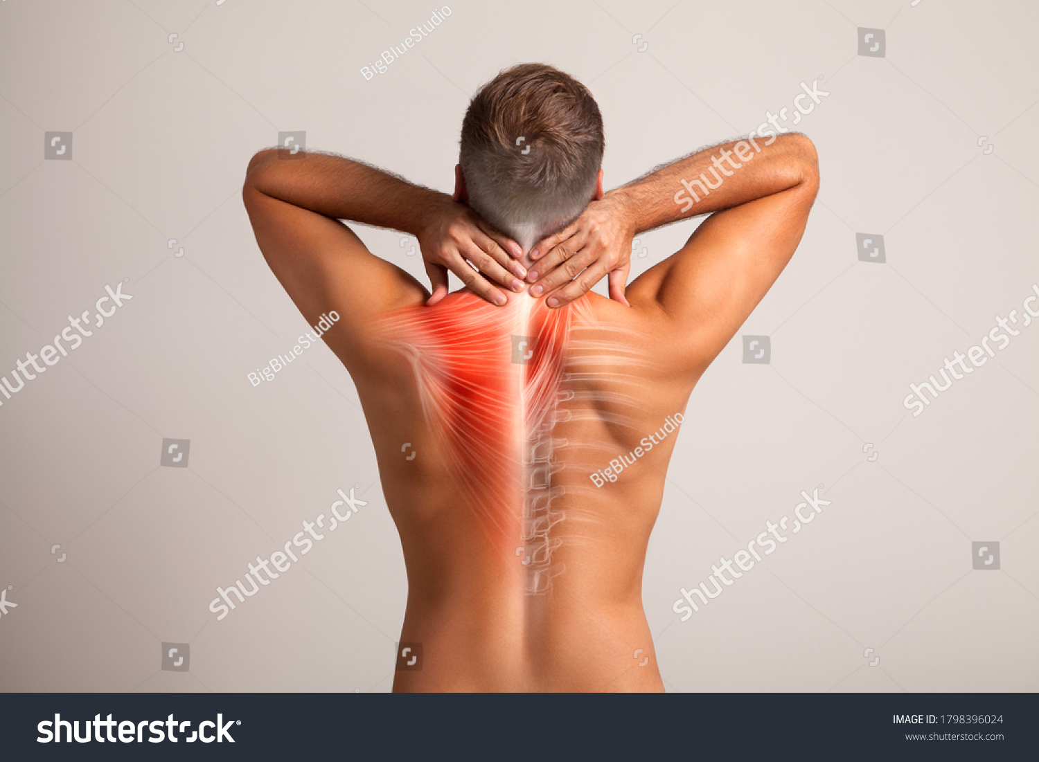 muscle back of neck hurts