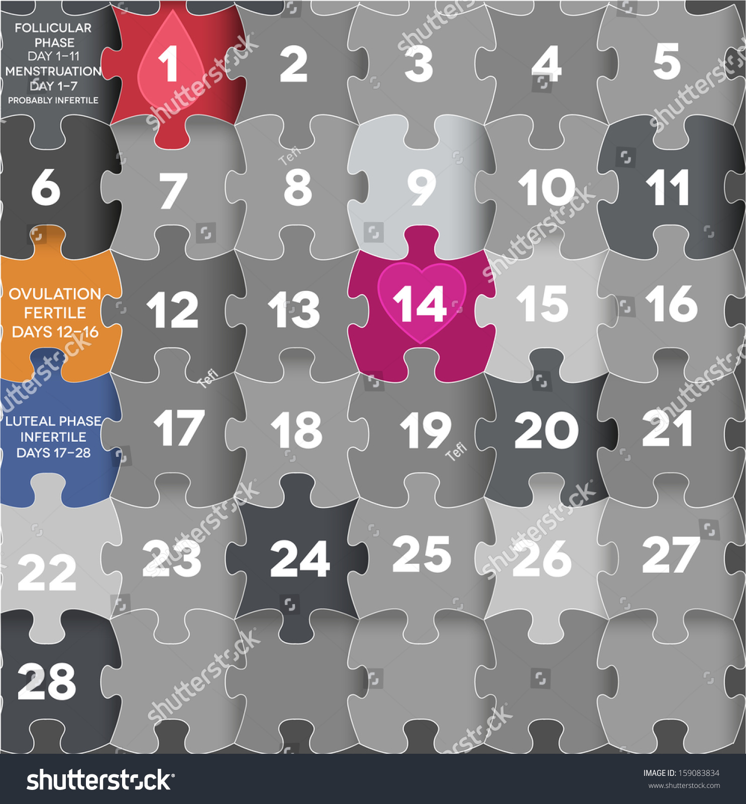 Menstrual Calendar Average Menstrual Cycle Puzzle Stock Illustration
