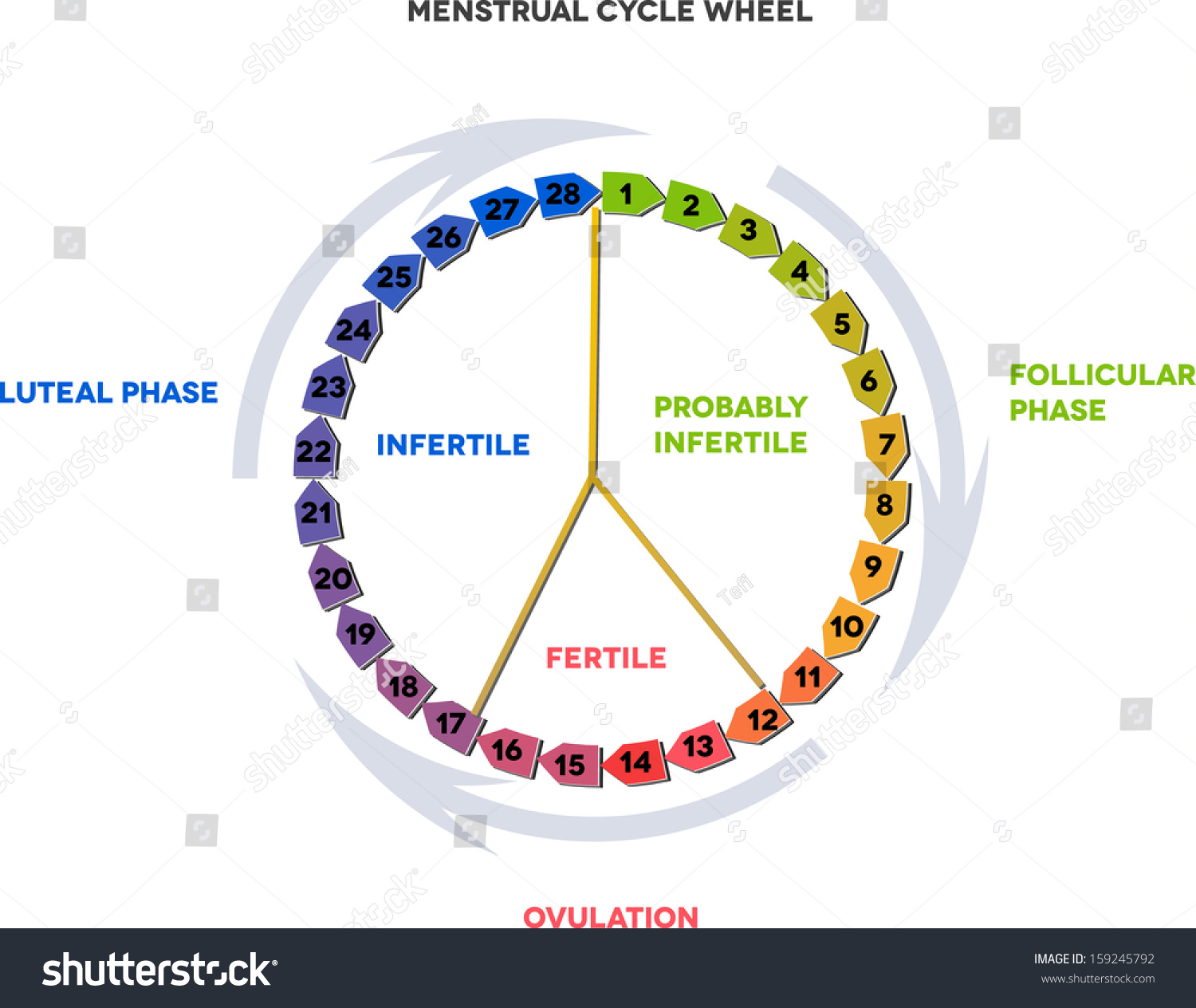How To Chart Your Menstrual Cycle