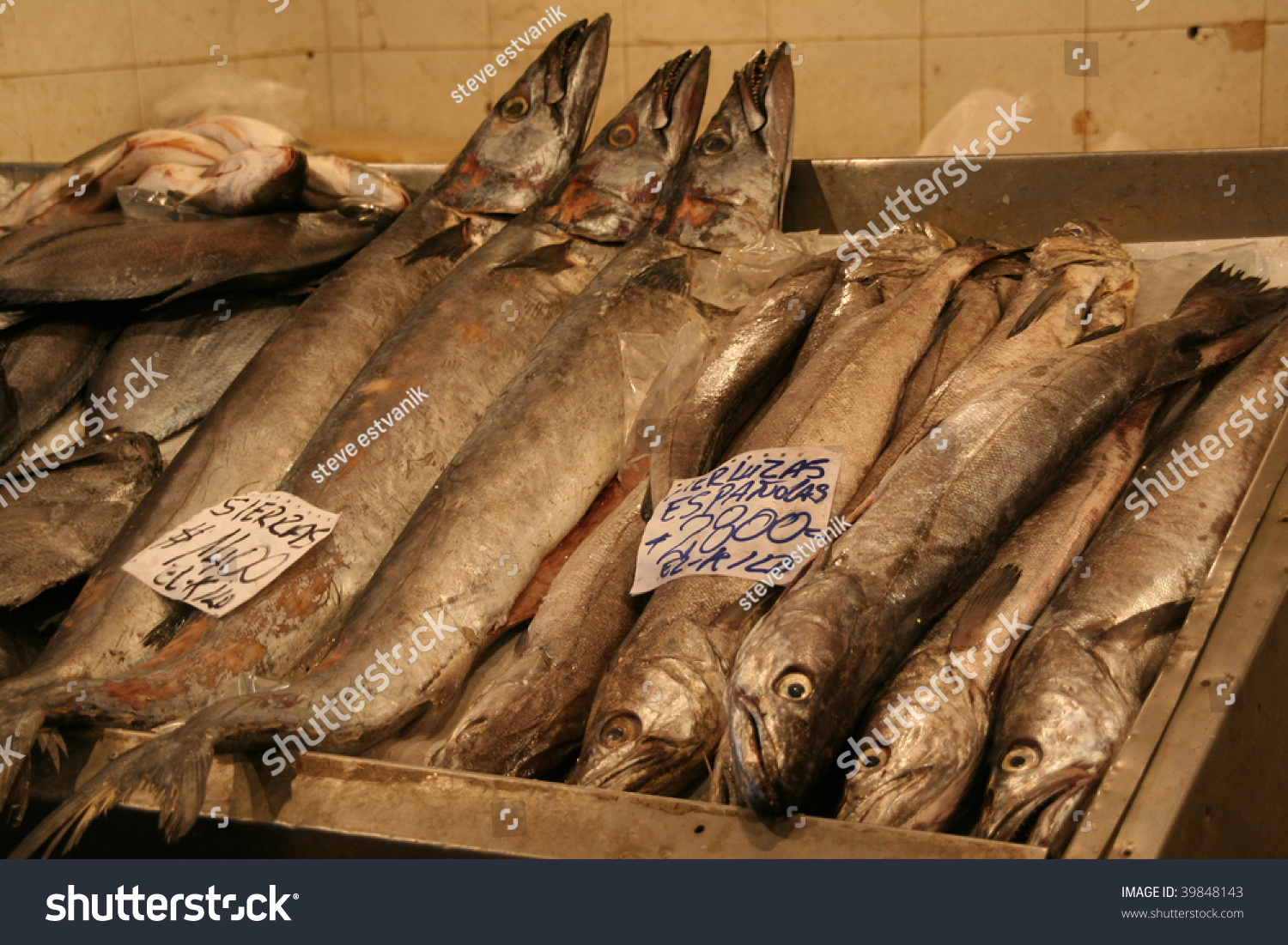 Merluza Swordyfish Fish Market Mercado Centrale Stock Photo Edit Now