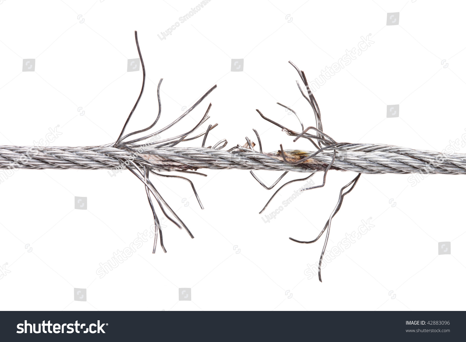 torn thread Start studying torn thread vocabulary learn vocabulary, terms, and more with flashcards, games, and other study tools. torn thread Start studying torn thread vocabulary learn vocabulary, terms, and more with flashcards, games, and other study tools.