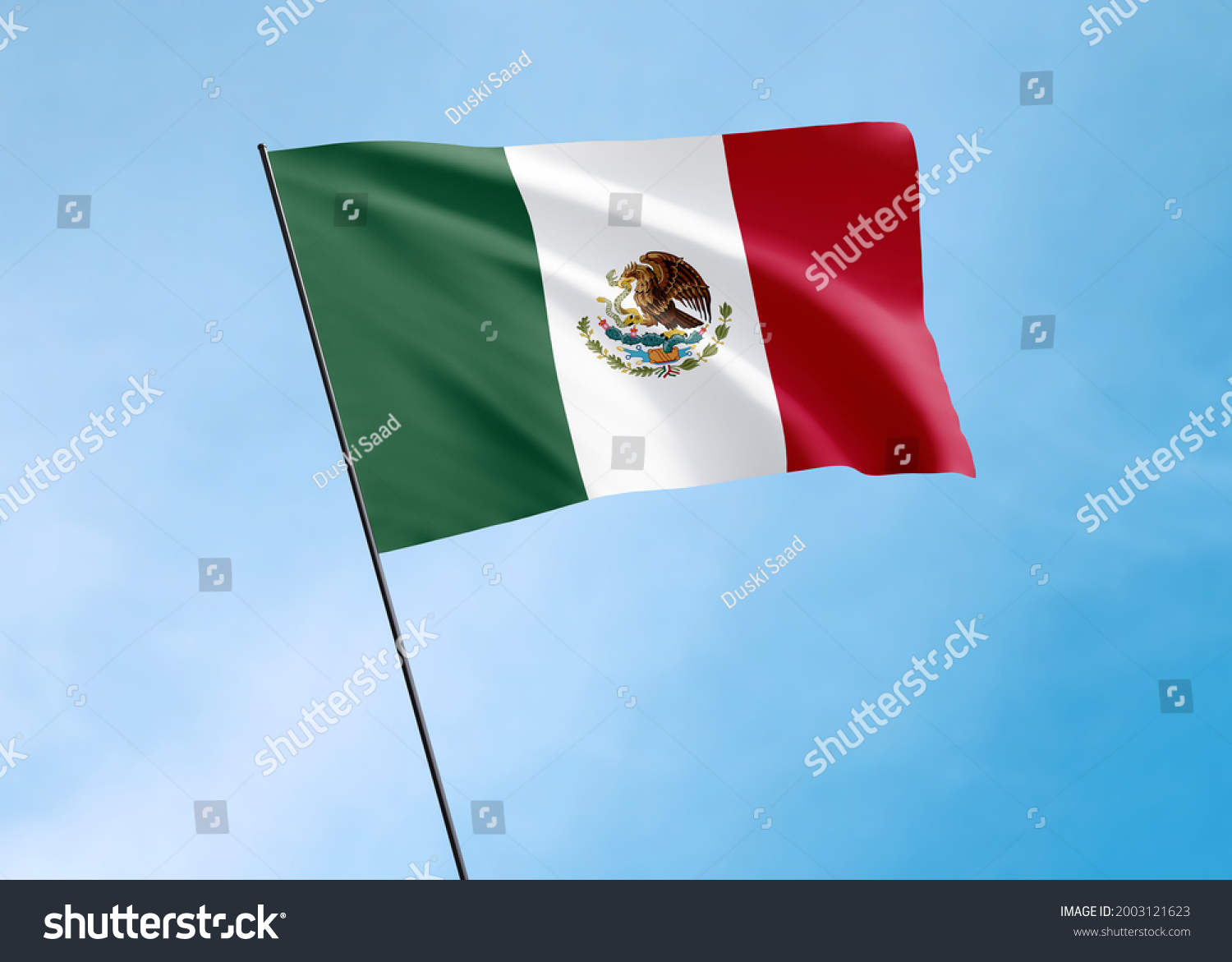 Mexico Flag Flying High Sky Mexico Stock Illustration 2003121623