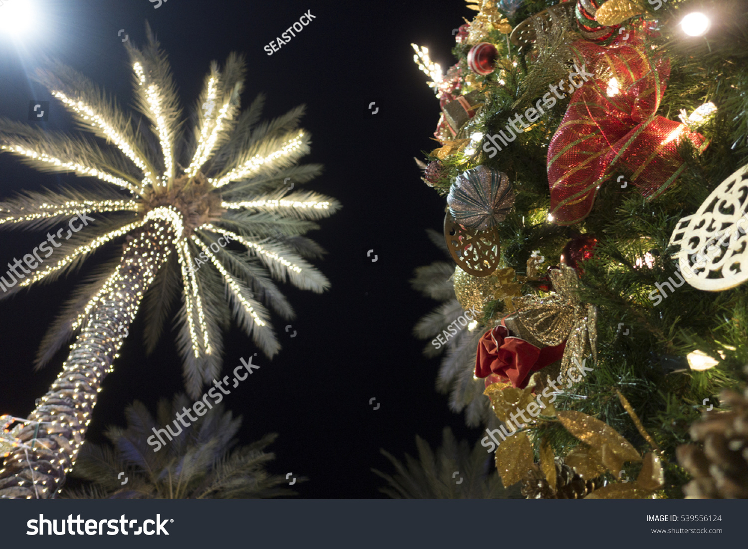 Miami Beach Christmas Tree Decorations Palm Stock Photo Edit Now