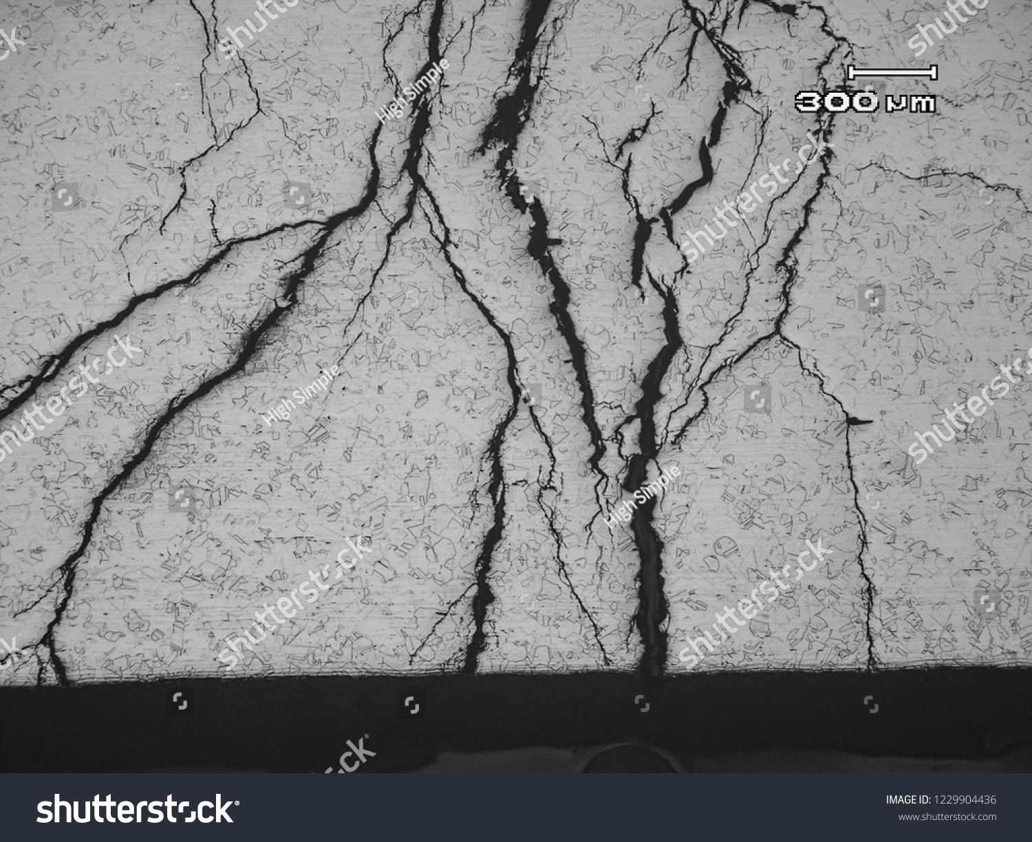 Micrograph Stress Corrosion Cracking Austenitic Stainless Stock Photo Edit Now 1229904436