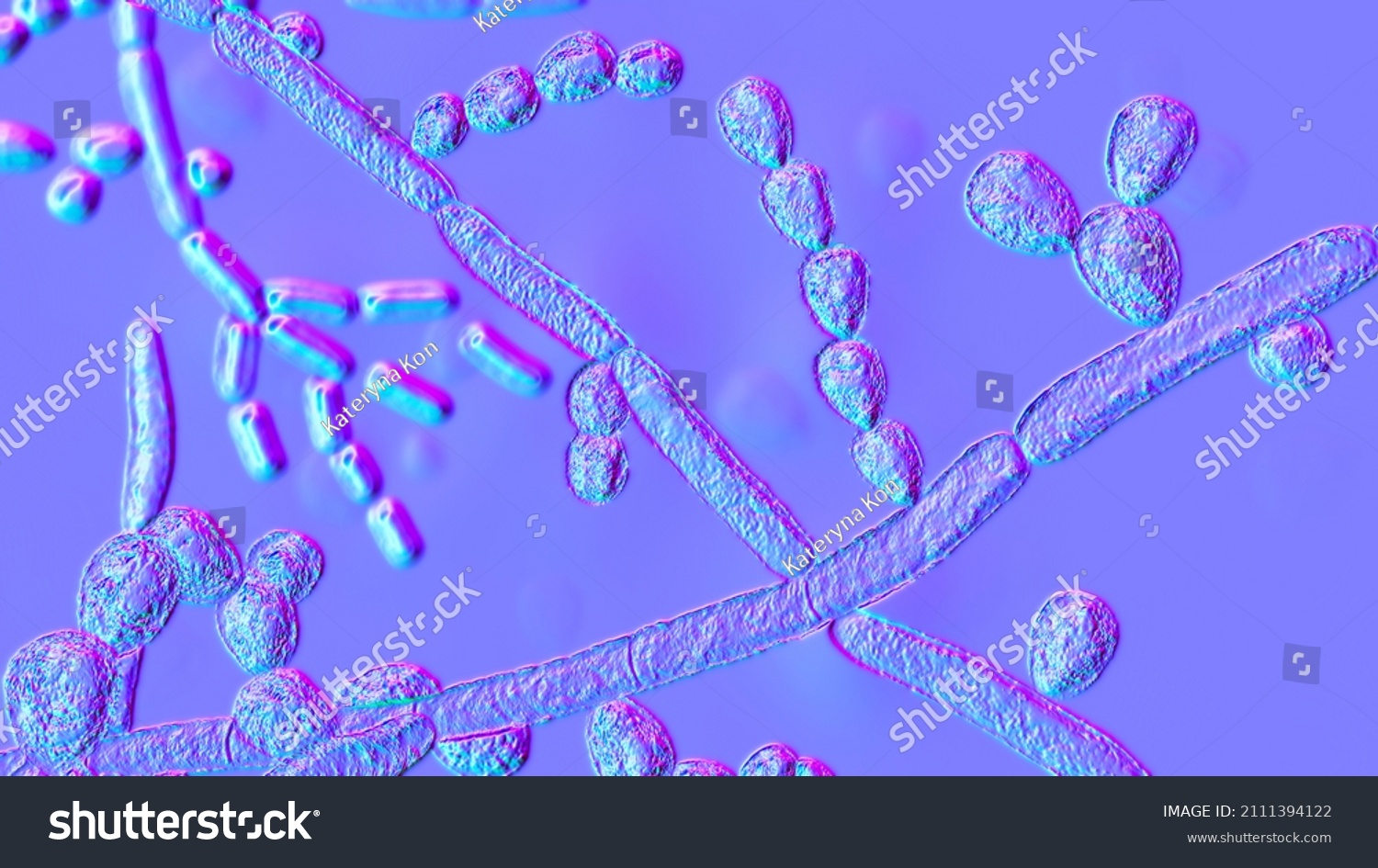 Microscopic Fungi Trichosporon 3d Illustration Shows Stock Illustration ...