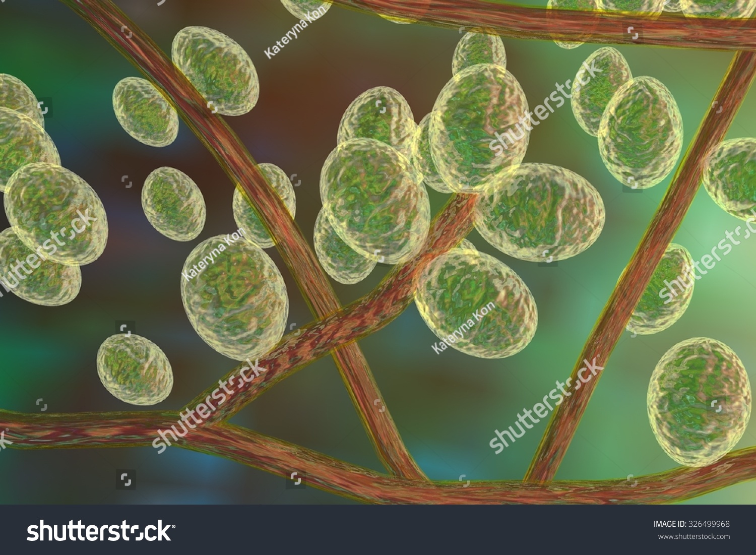 Microscopic Illustration Fungi Trichophyton Rubrum Which 스톡 일러스트 326499968 Shutterstock 0727