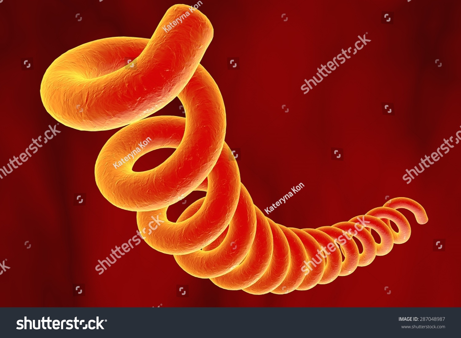 Microscopic Illustration Treponema Pallidum Bacterium Which ภาพประกอบ