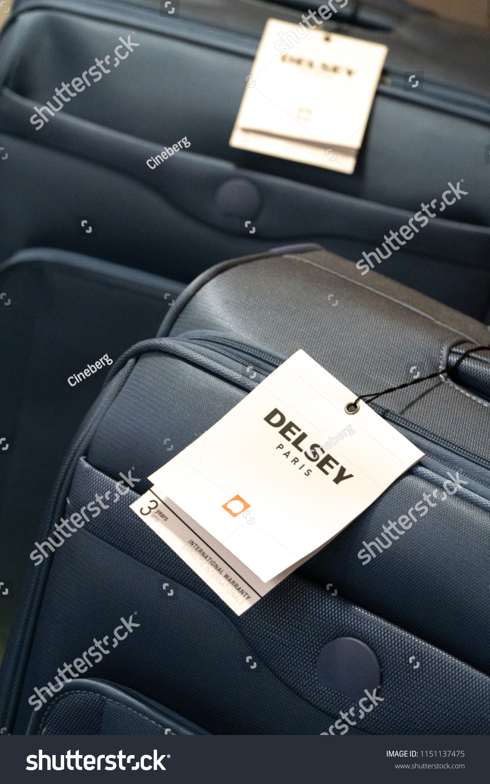 new suitcase company