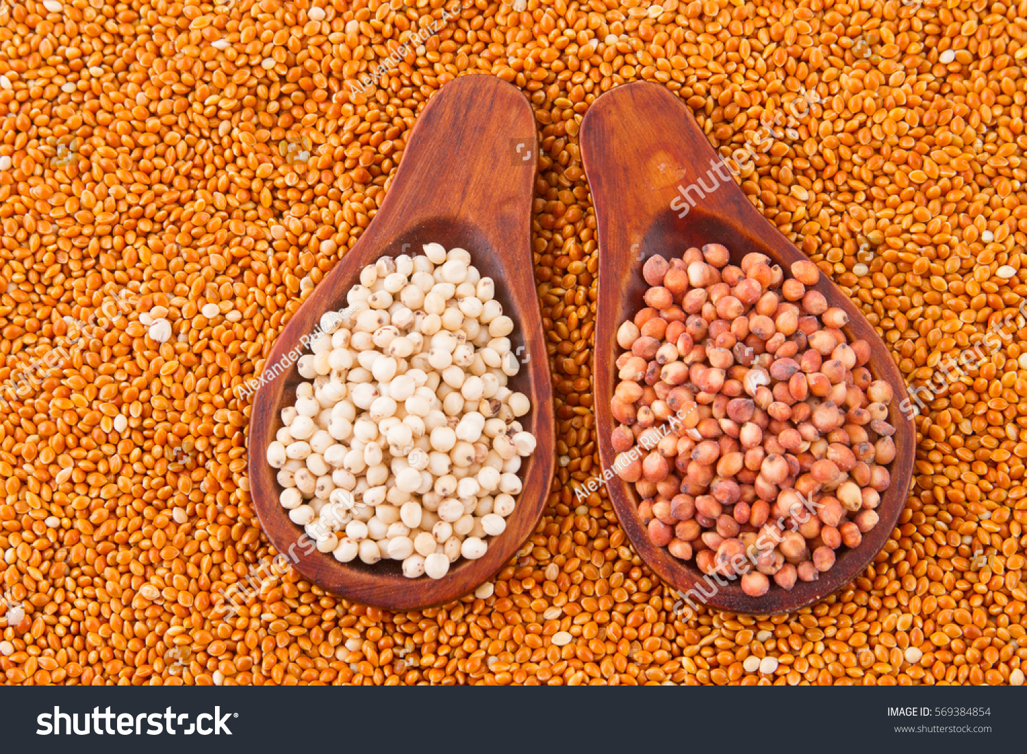 Millets Form Group Several Cereal Crops Stock Photo 569384854