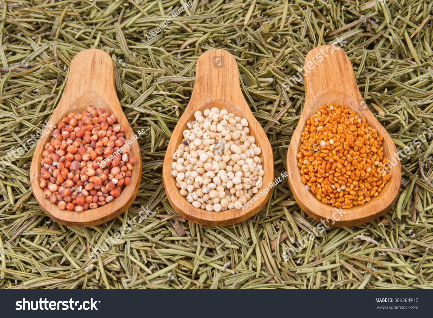 Millets Form Group Several Cereal Crops Stock Photo 569384917