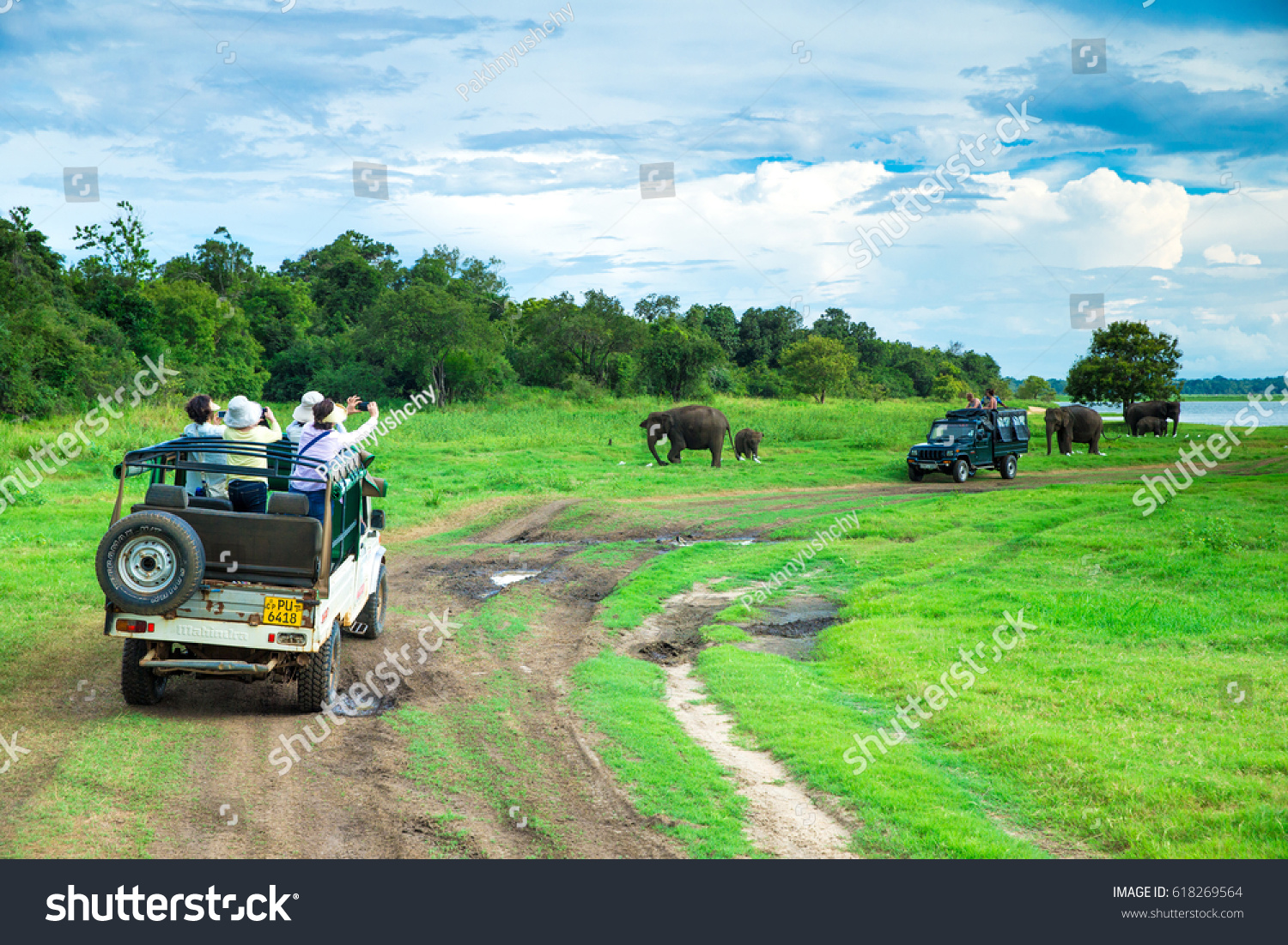  Seafoam Green Classic  Template Design Featuring Minneriya Sri Lanka