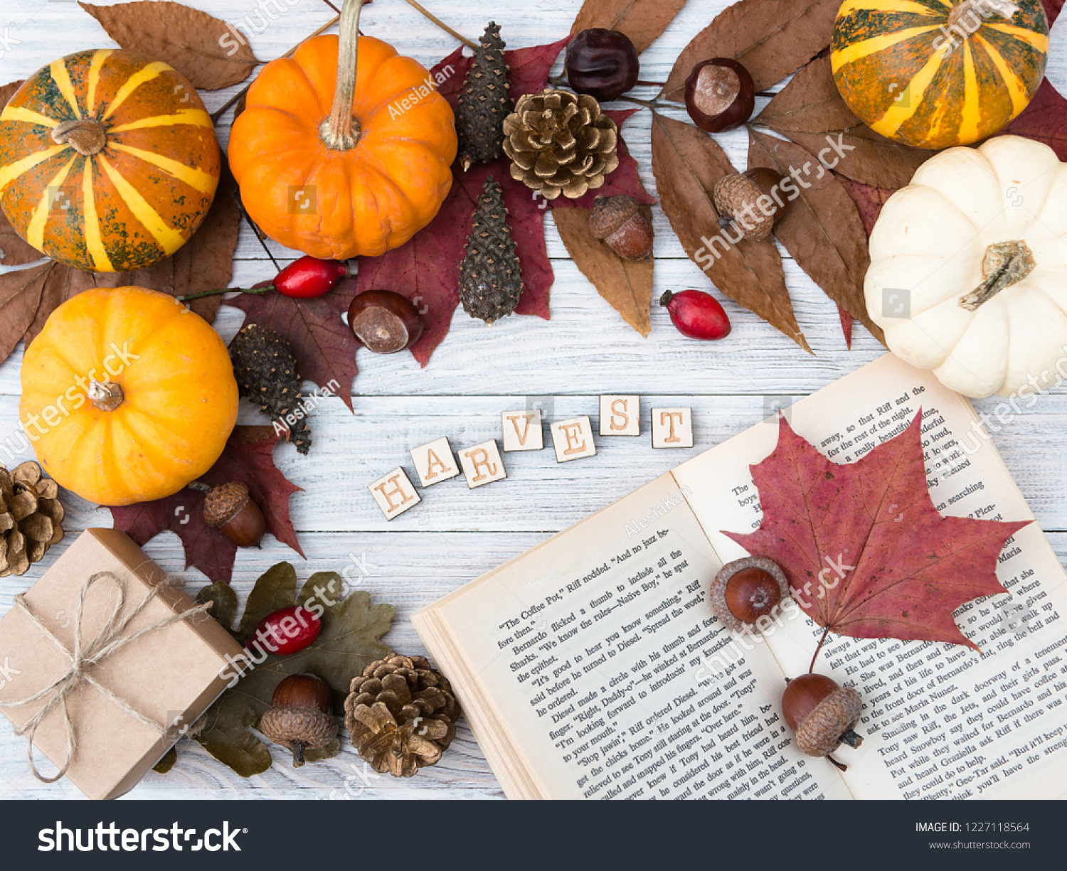 Fashion style Gifts day Thanksgiving pictures for lady Fashion style Gifts day Thanksgiving pictures for woman