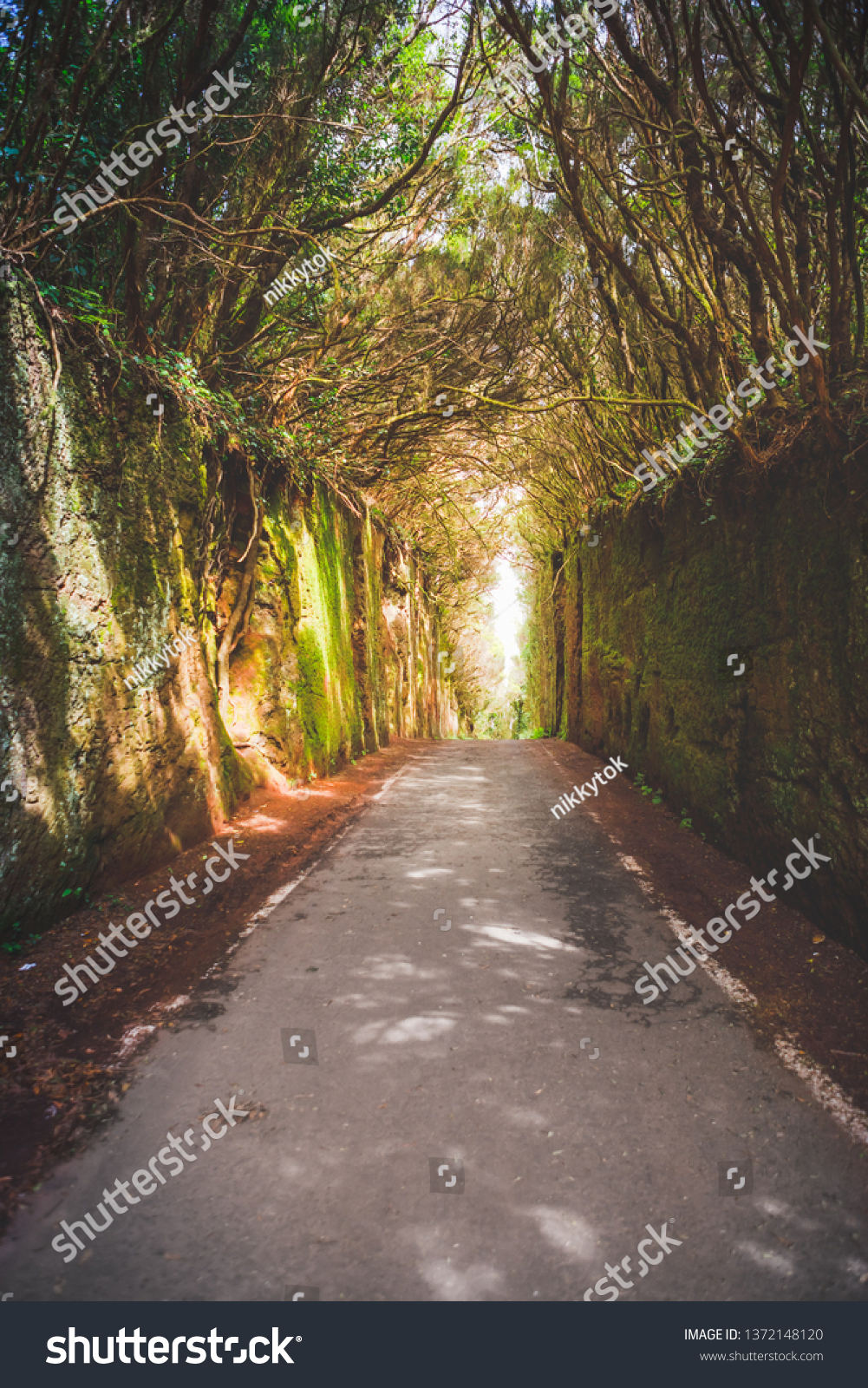 Mirador Pico Del Ingles Path Anaga Stock Photo Edit Now