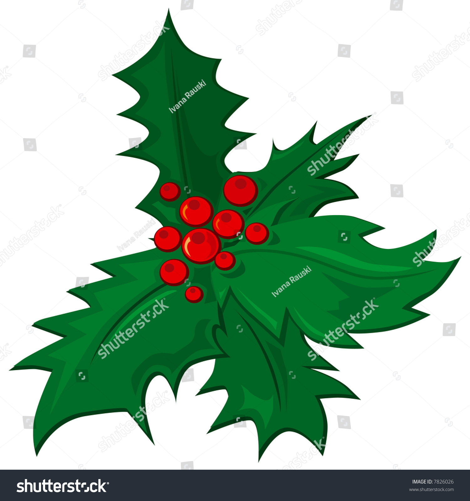 Mistletoe Jpeg Version Stock Illustration 7826026 - Shutterstock