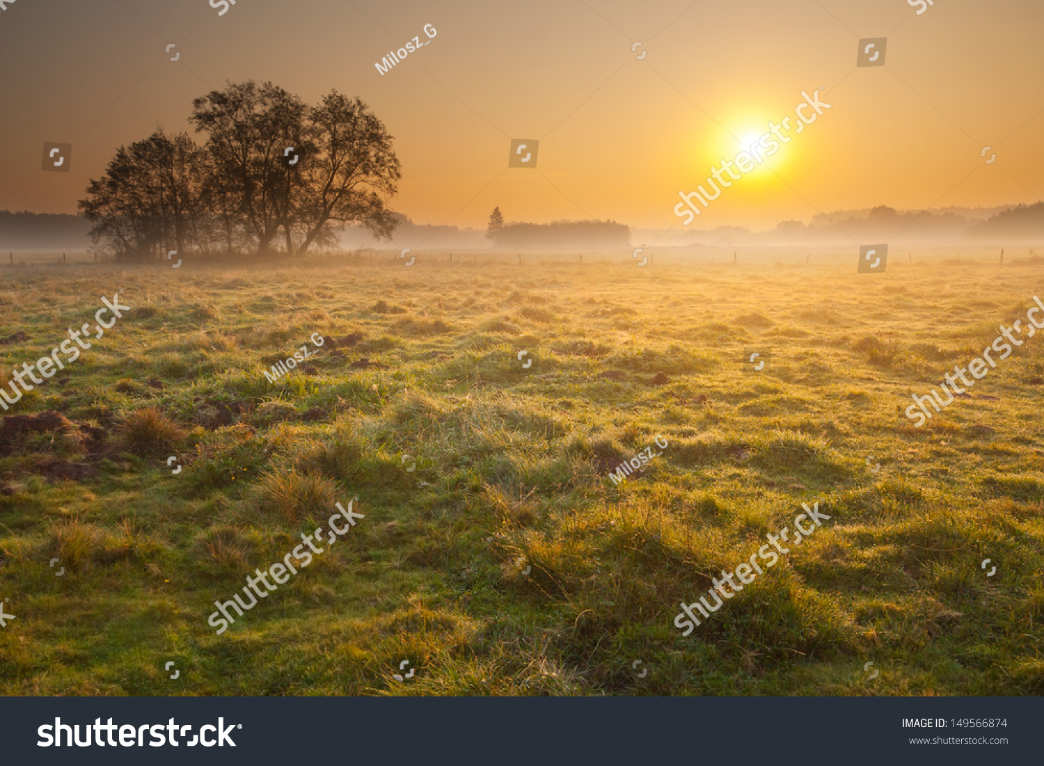 Misty Summer Sunrise Over Meadow Stock Photo 149566874 : Shutterstock