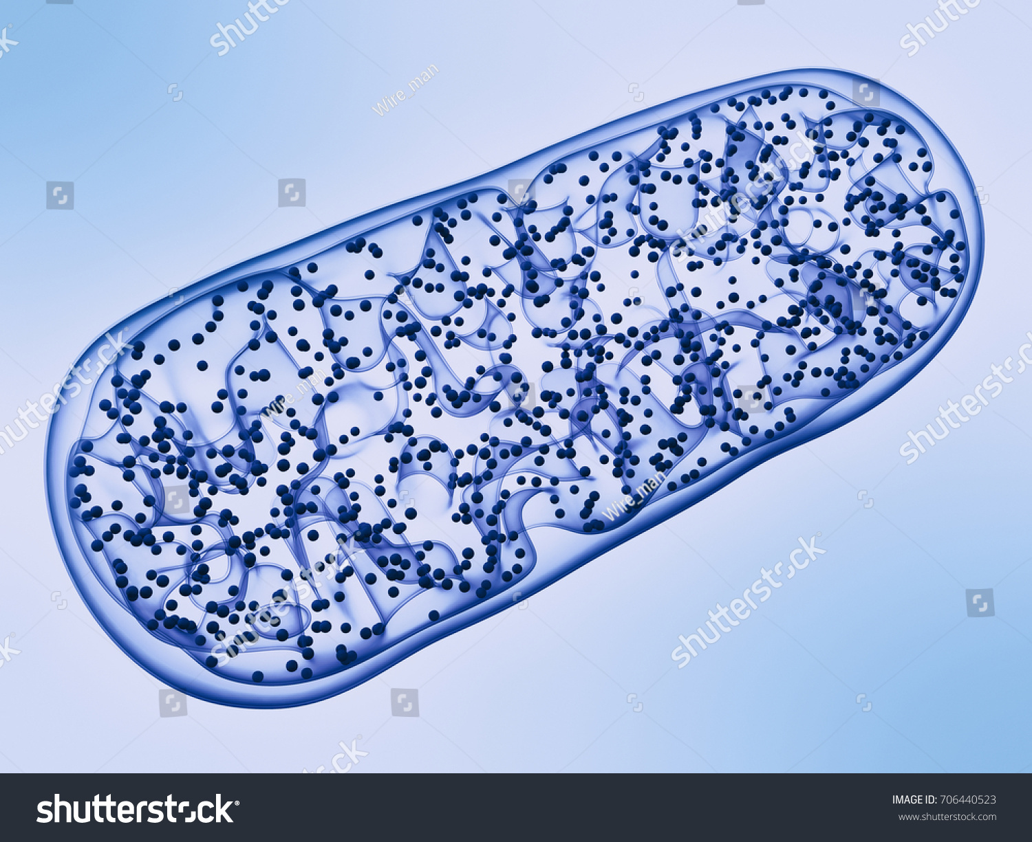 Mitochondria Microbiology Biology Cell 3d Illustration Stock ...