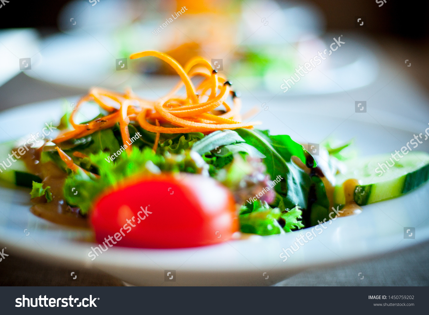 Mixed Salad Tomatoes Cucumbers Lettuce Carrots Stock Photo Edit Now 1450759202