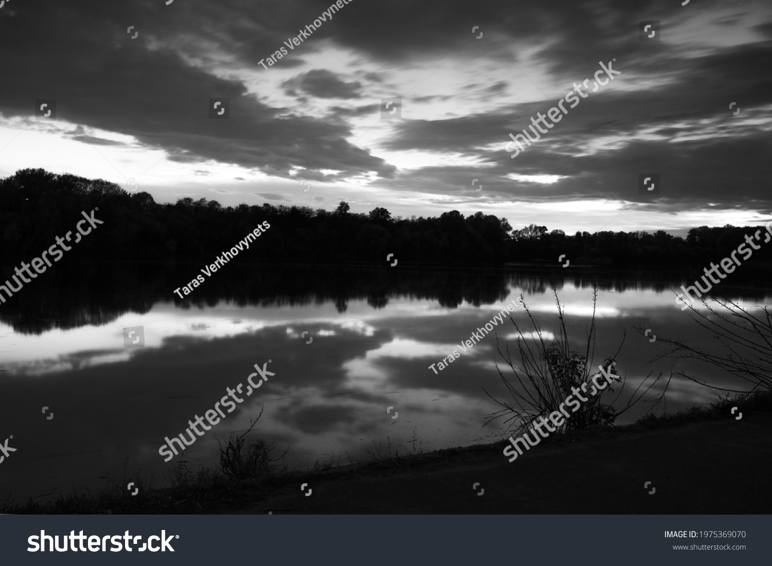 Rusanivska Images, Stock Photos & Vectors | Shutterstock