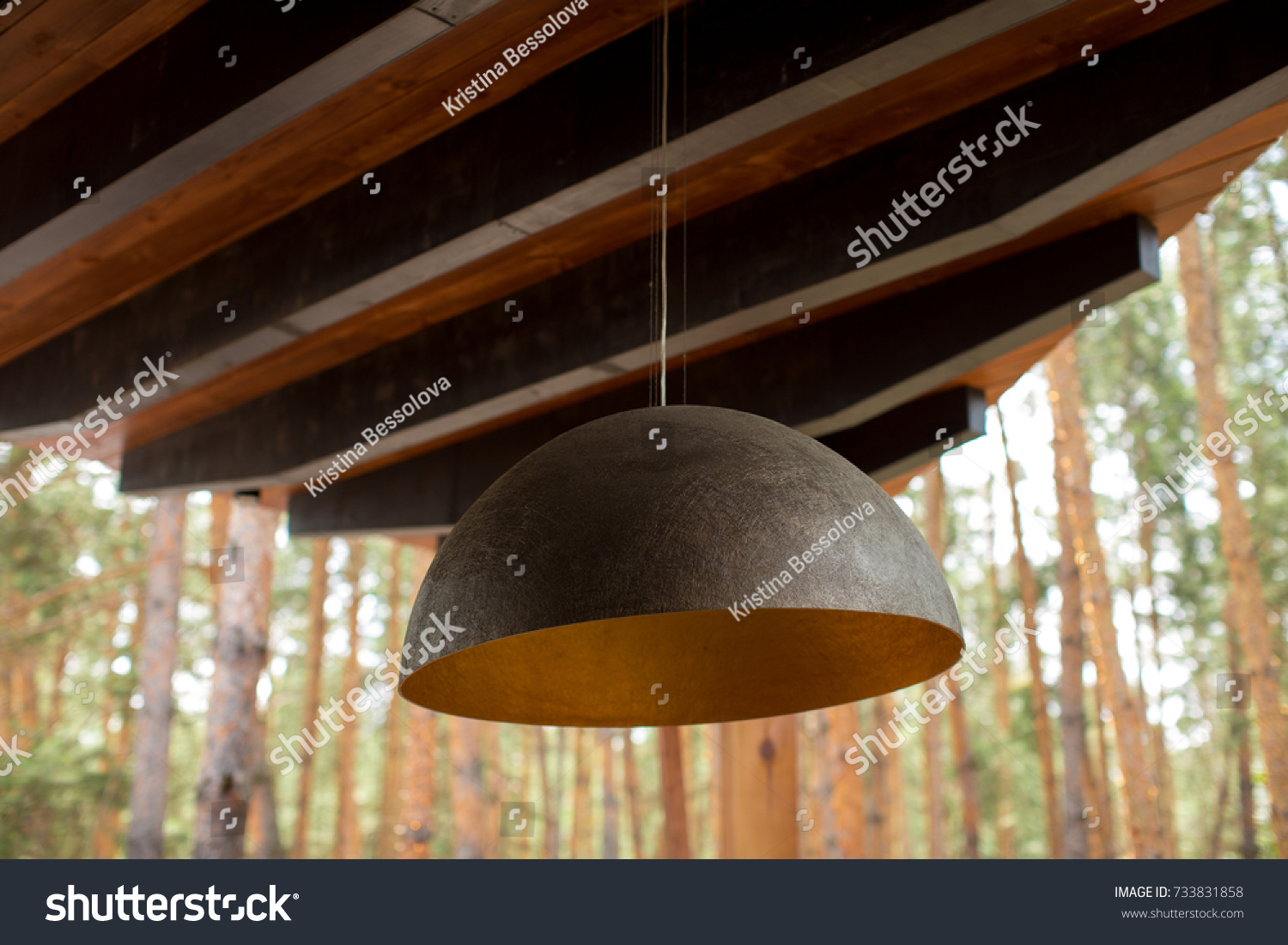 Modern Copper Lamps Restaurant Stock Photo Edit Now 733831858