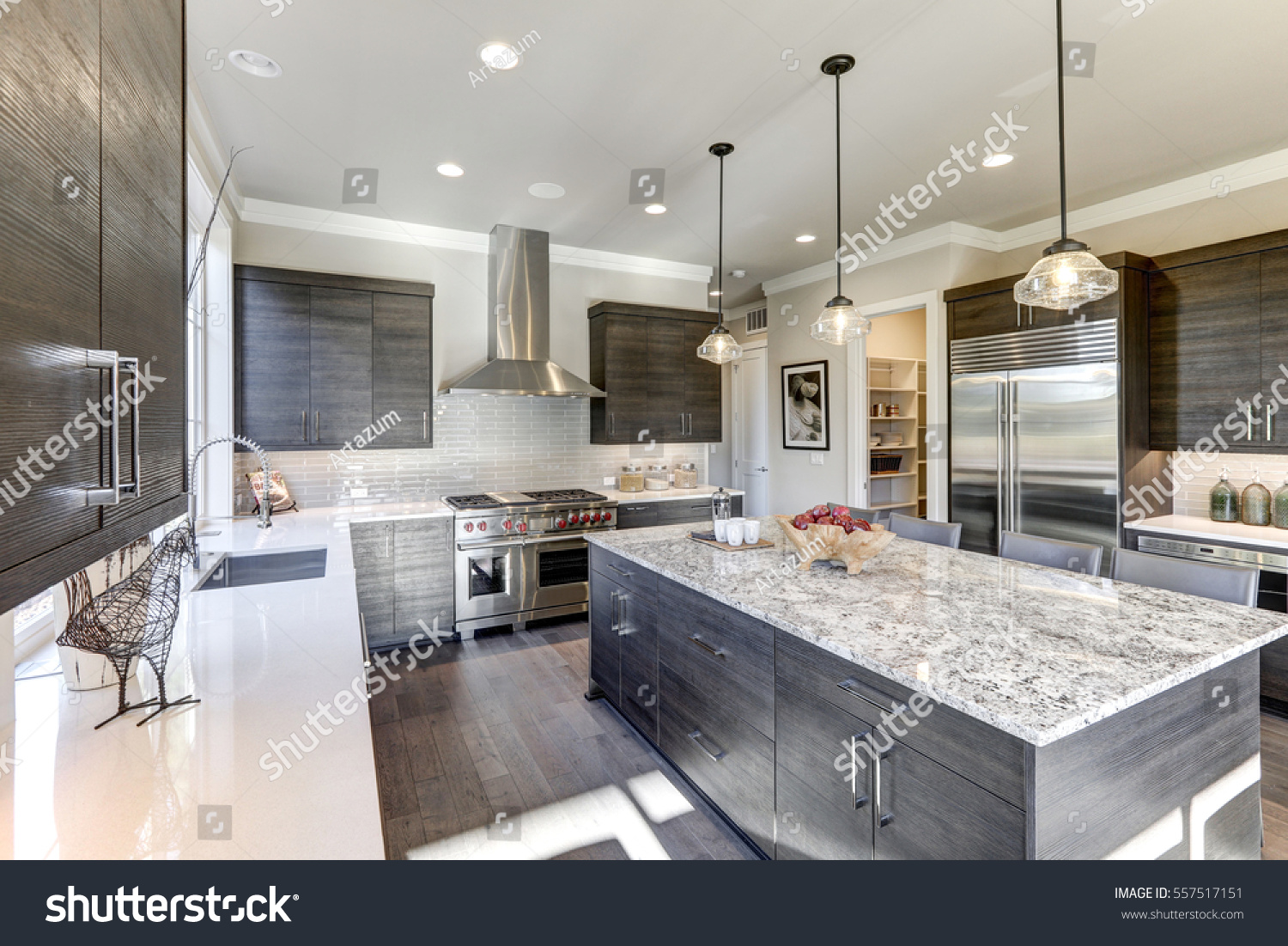Modern Gray Kitchen Features Dark Gray Buildings Landmarks Stock Image 557517151,Flowering House Plants Pictures And Names