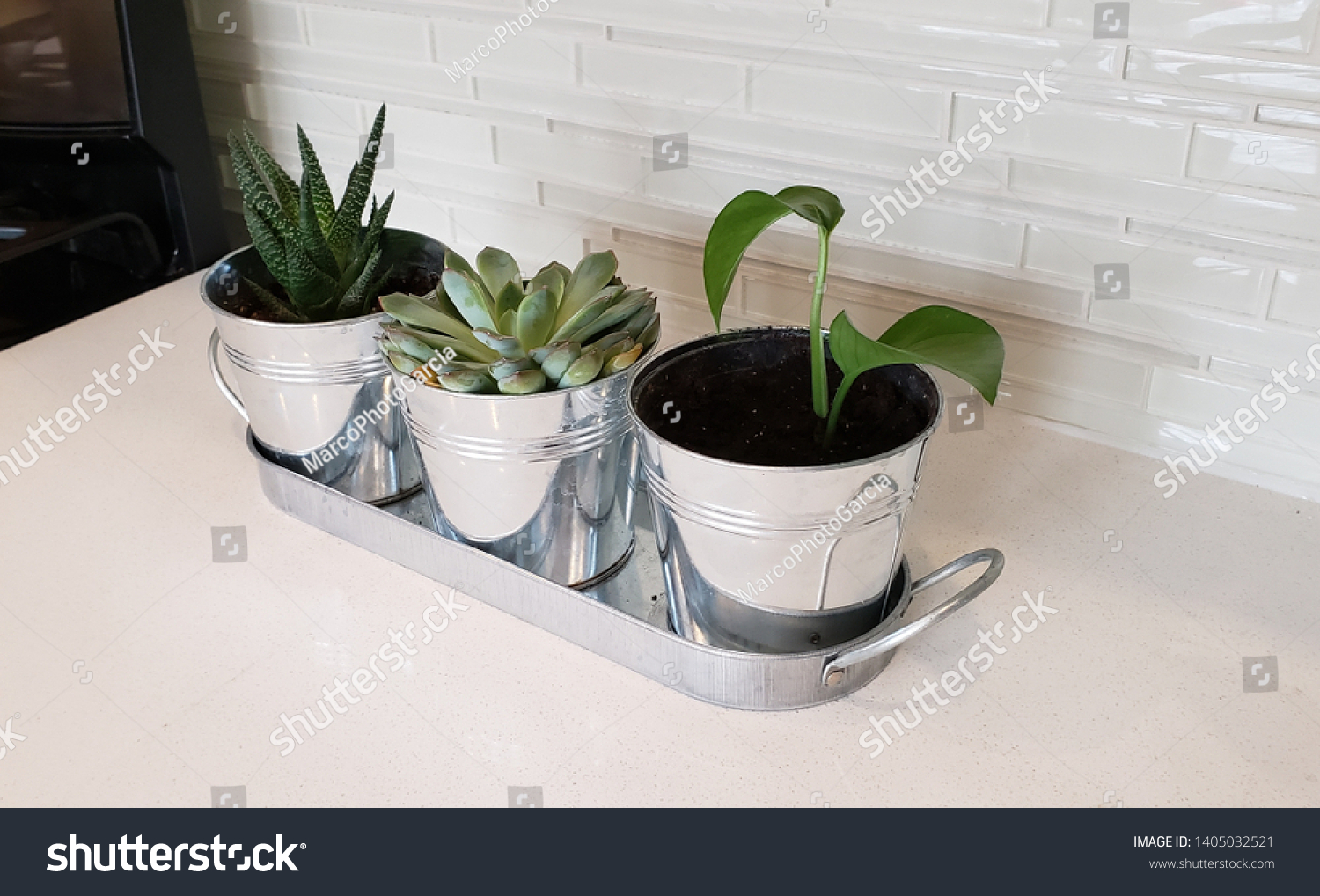 Modern Kitchen Countertop Assorted Indoor Plants Stock Photo Edit Now 1405032521