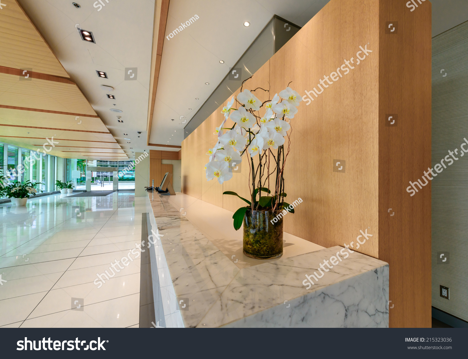 modern lobby hallway marble counter some stock photo 215323036 modern lobby hallway marble counter some stock photo 215323036